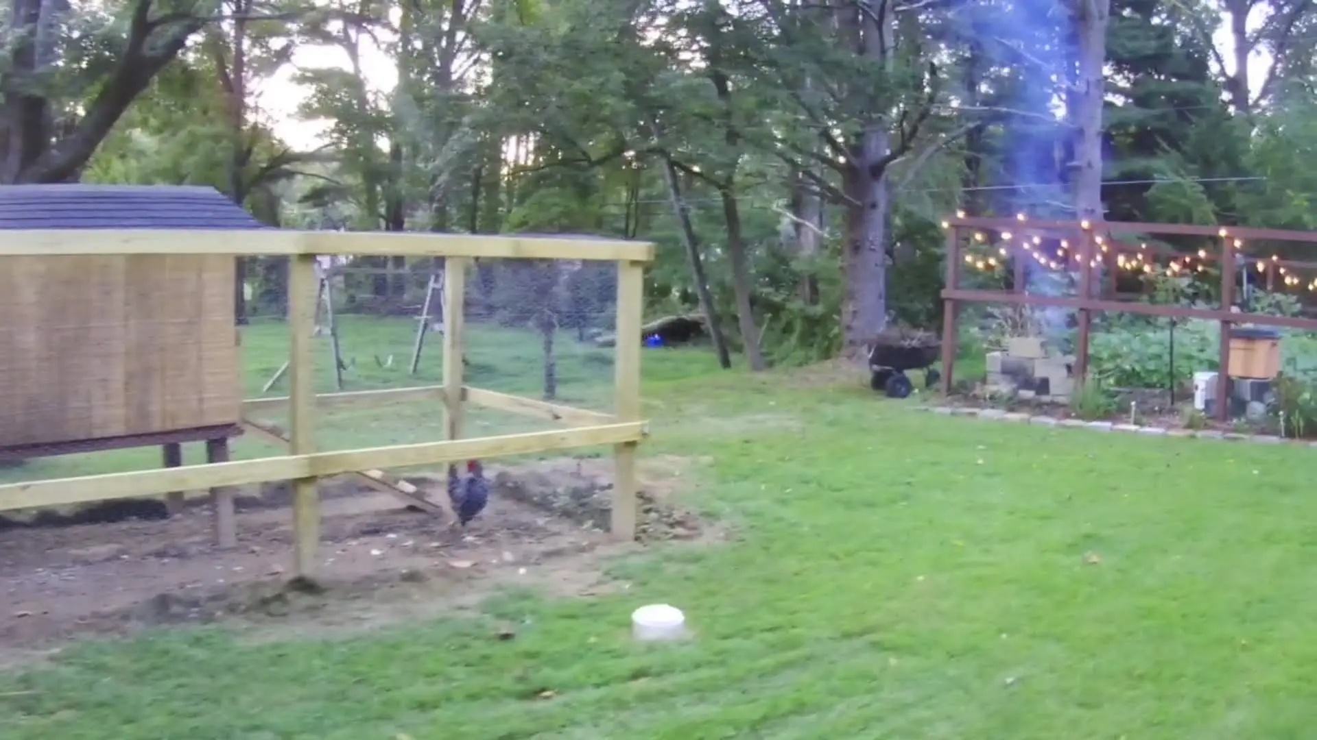 Image 20220823192939002.webp