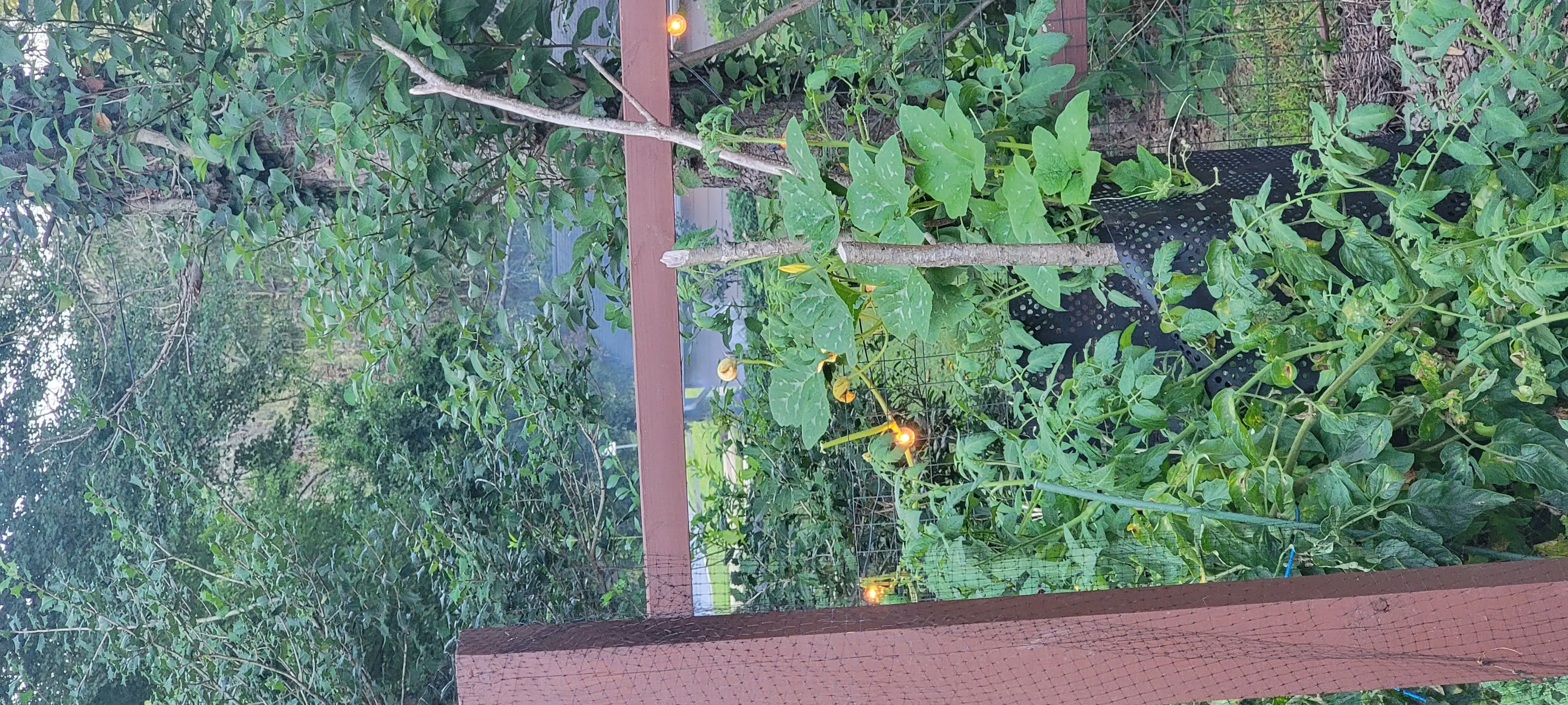 Image 20220823_191850.webp