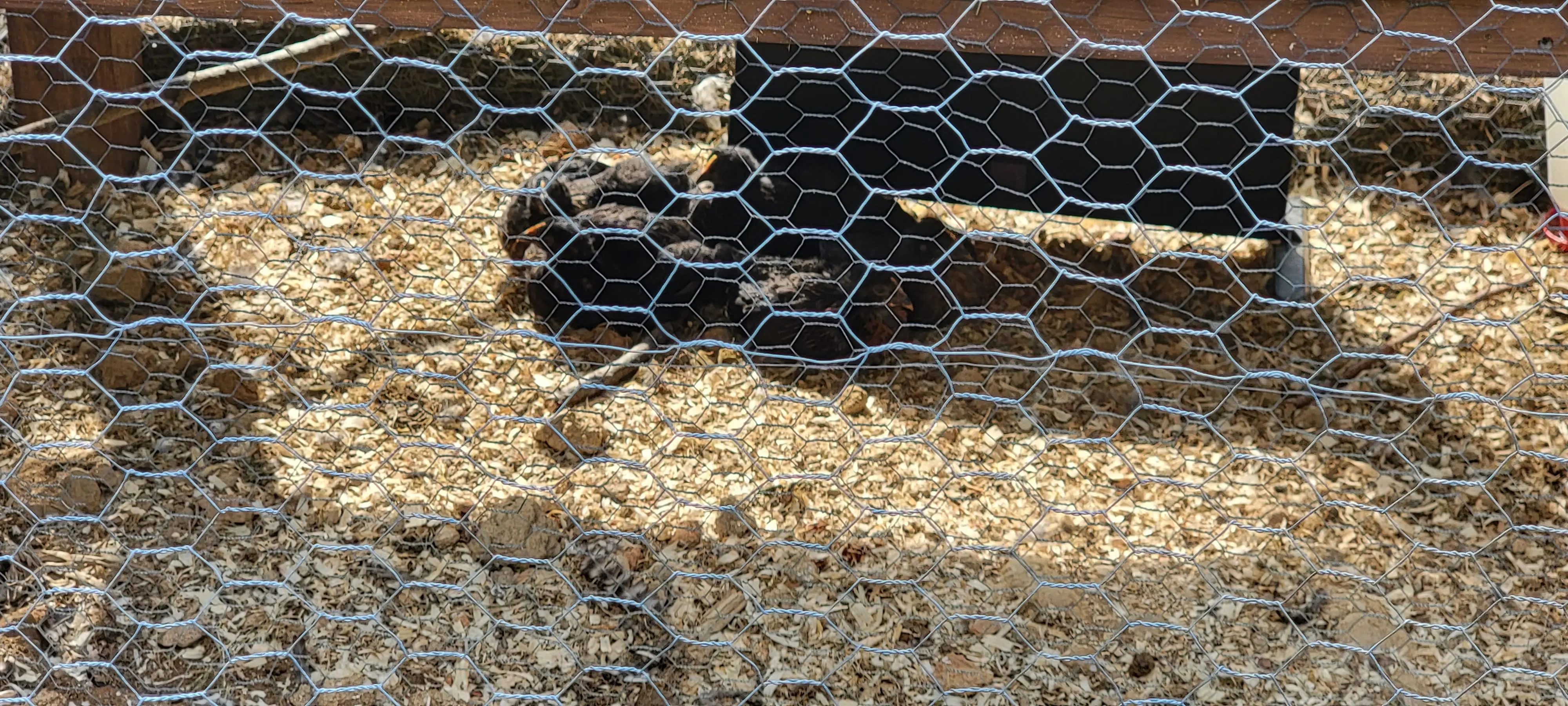 Image 20220825_163045.webp