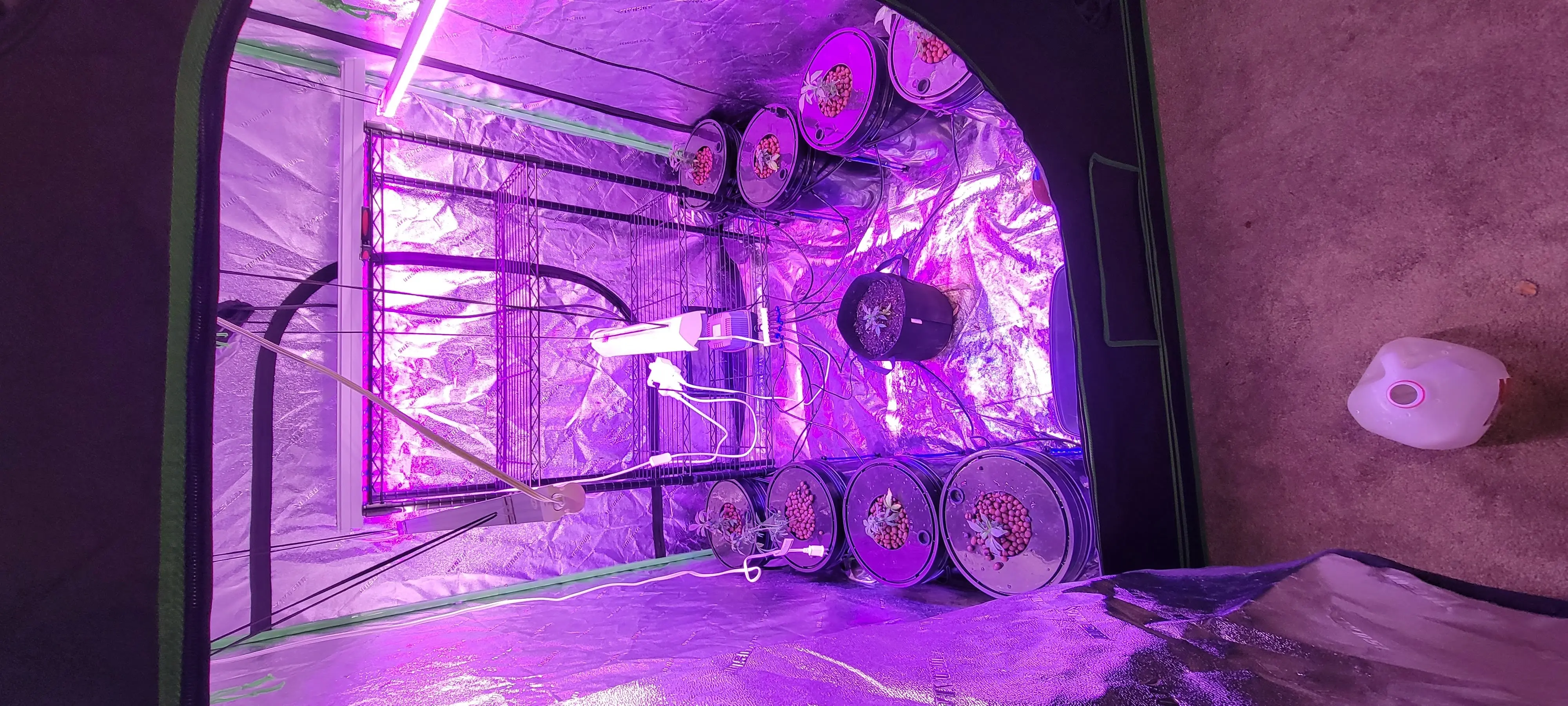 Image 20220826_121248.webp