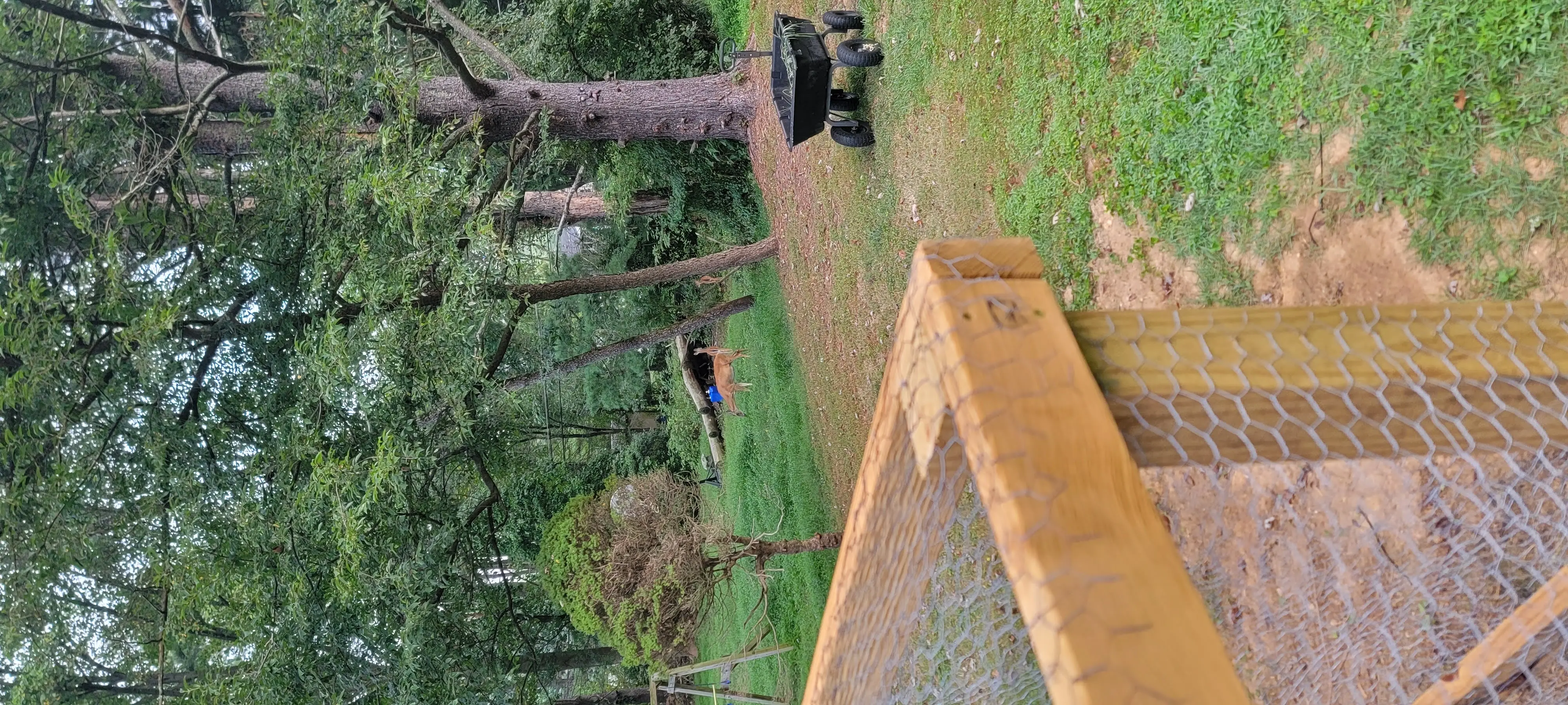 Image 20220830_071919.webp