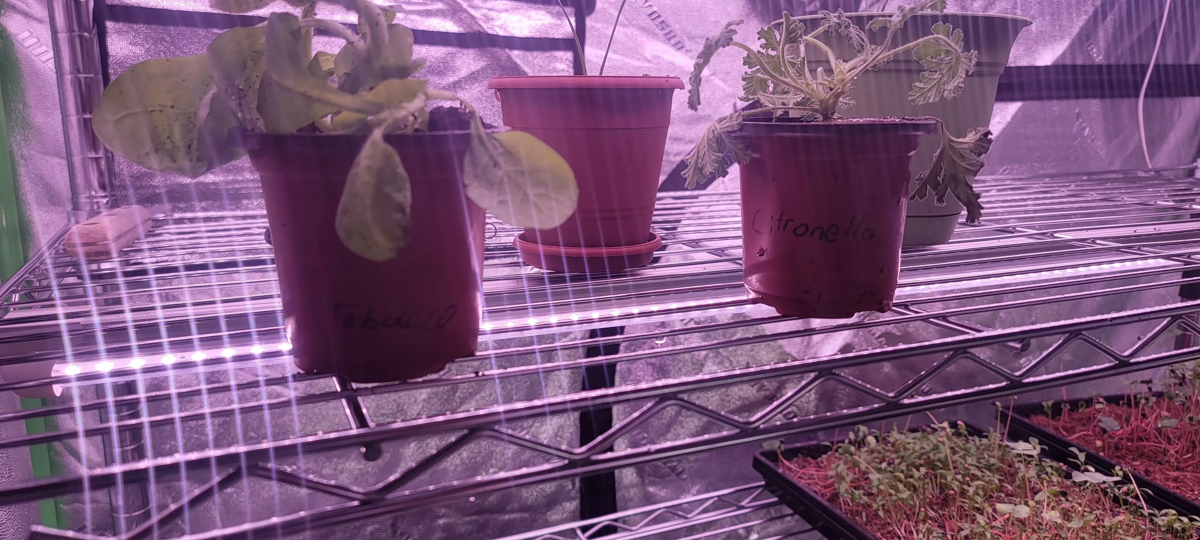 Image 20220831_123736.webp