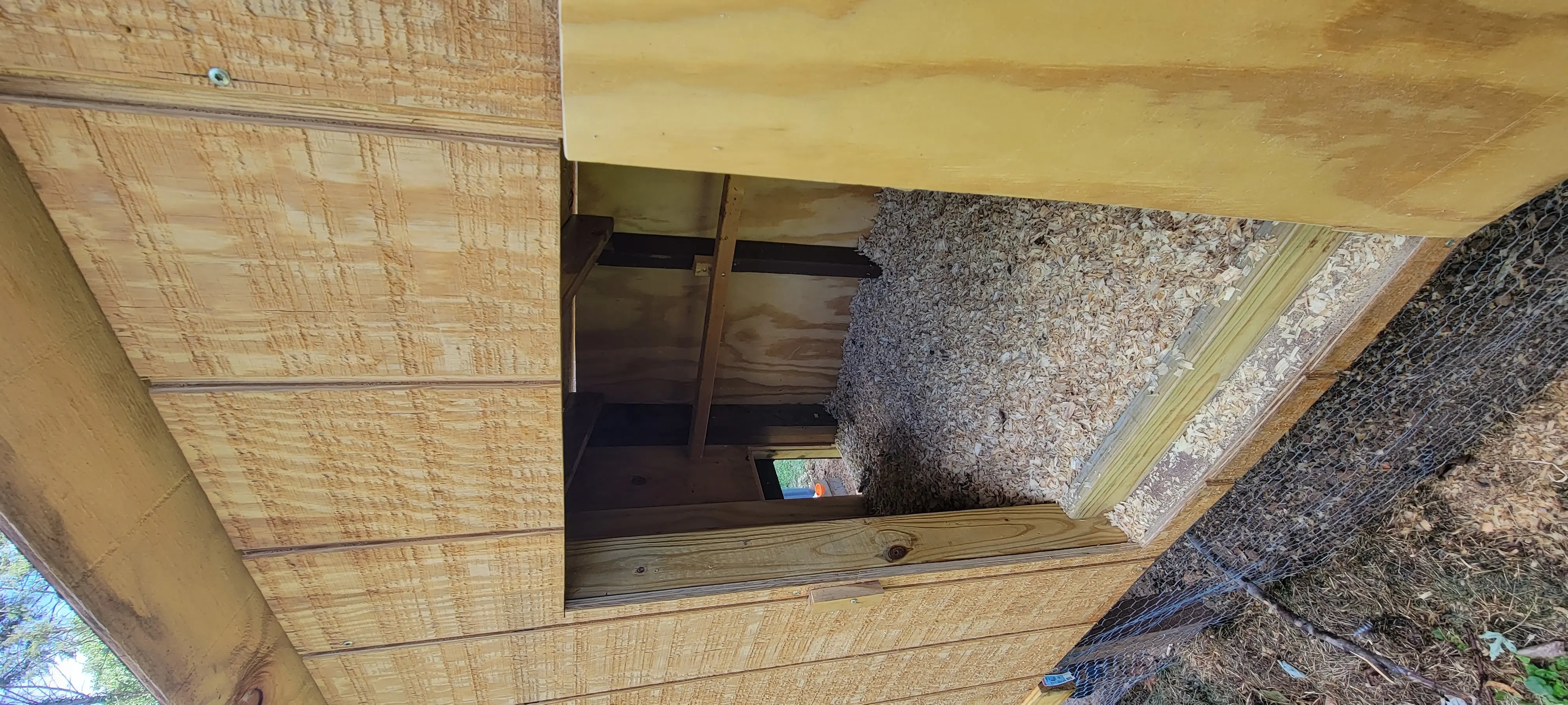 Image 20220902_132001.webp