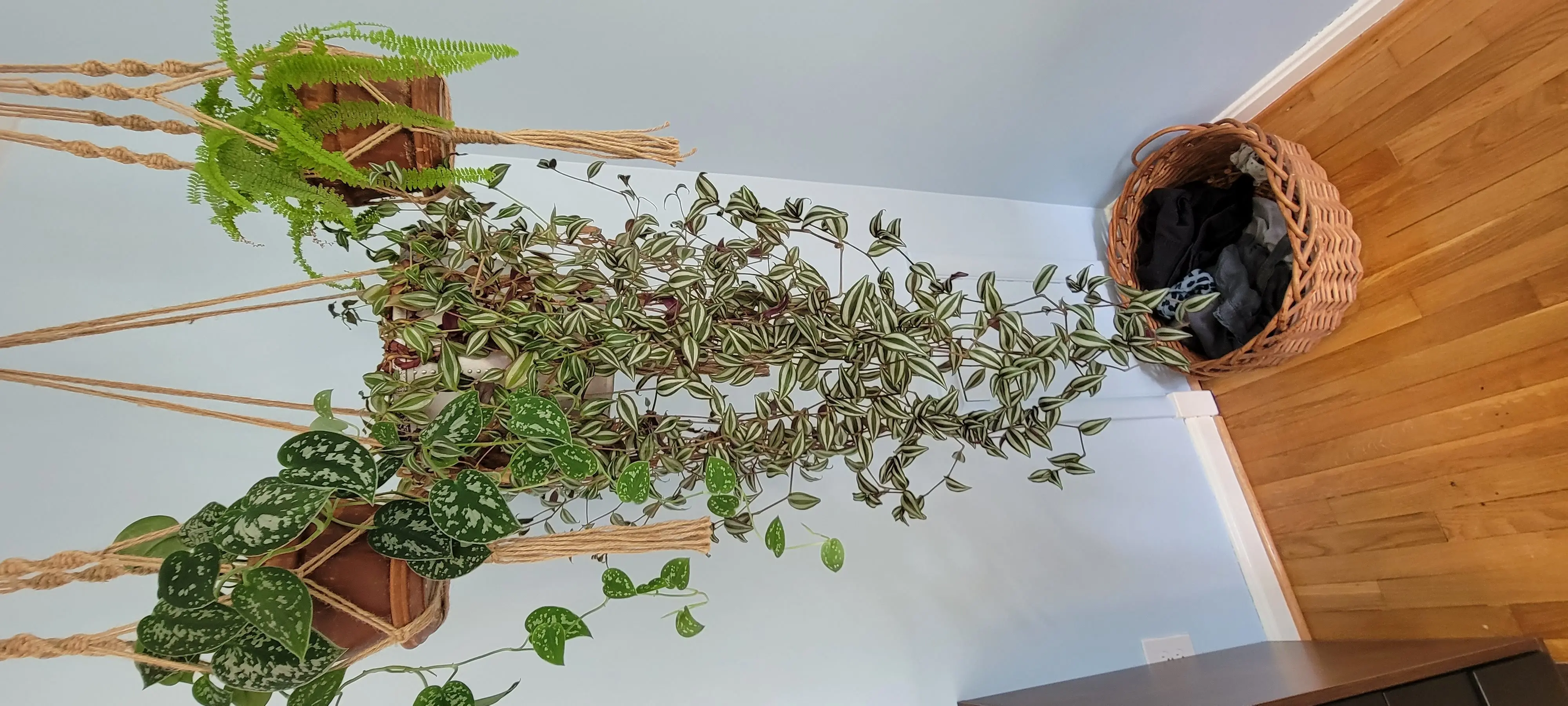 Image 20220903_100515.webp