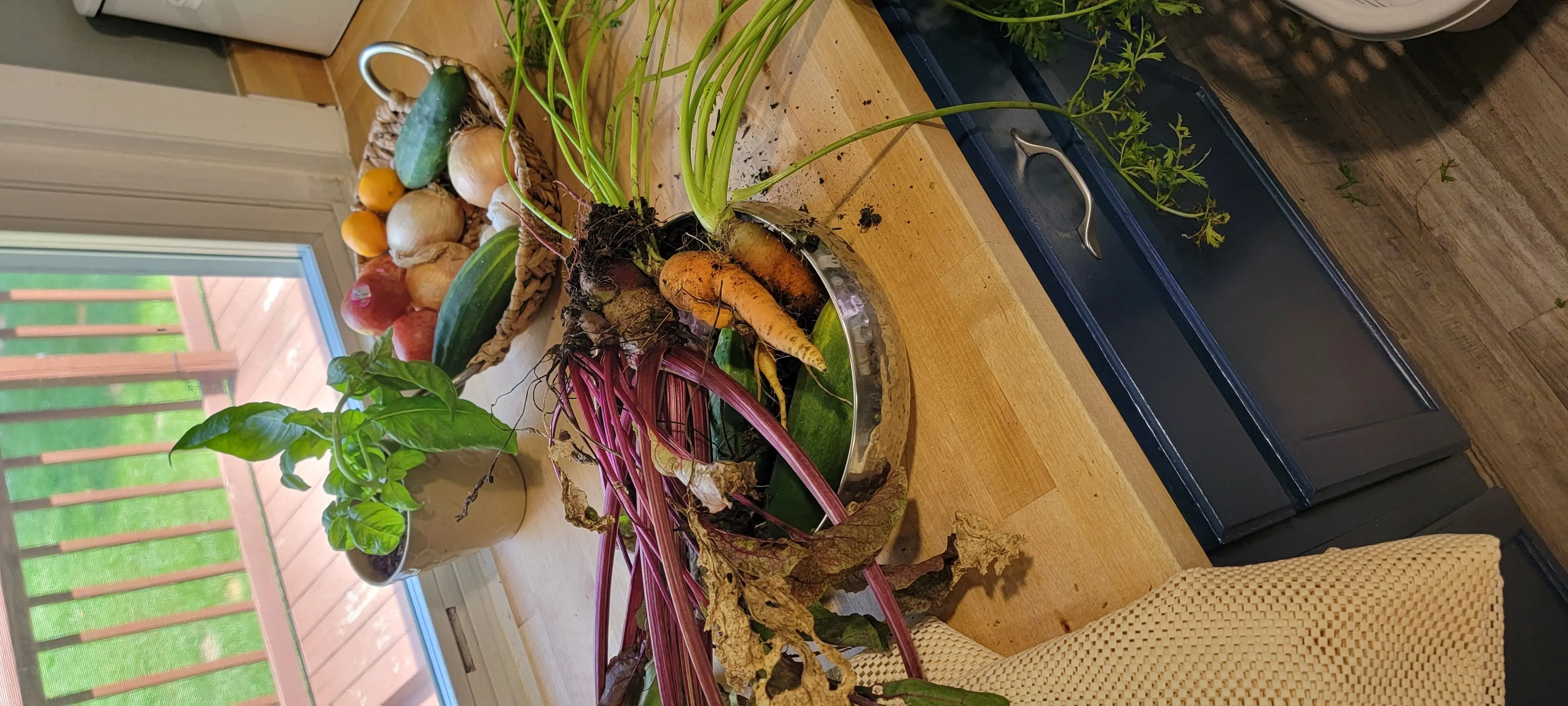 Image 20220904_113806.webp