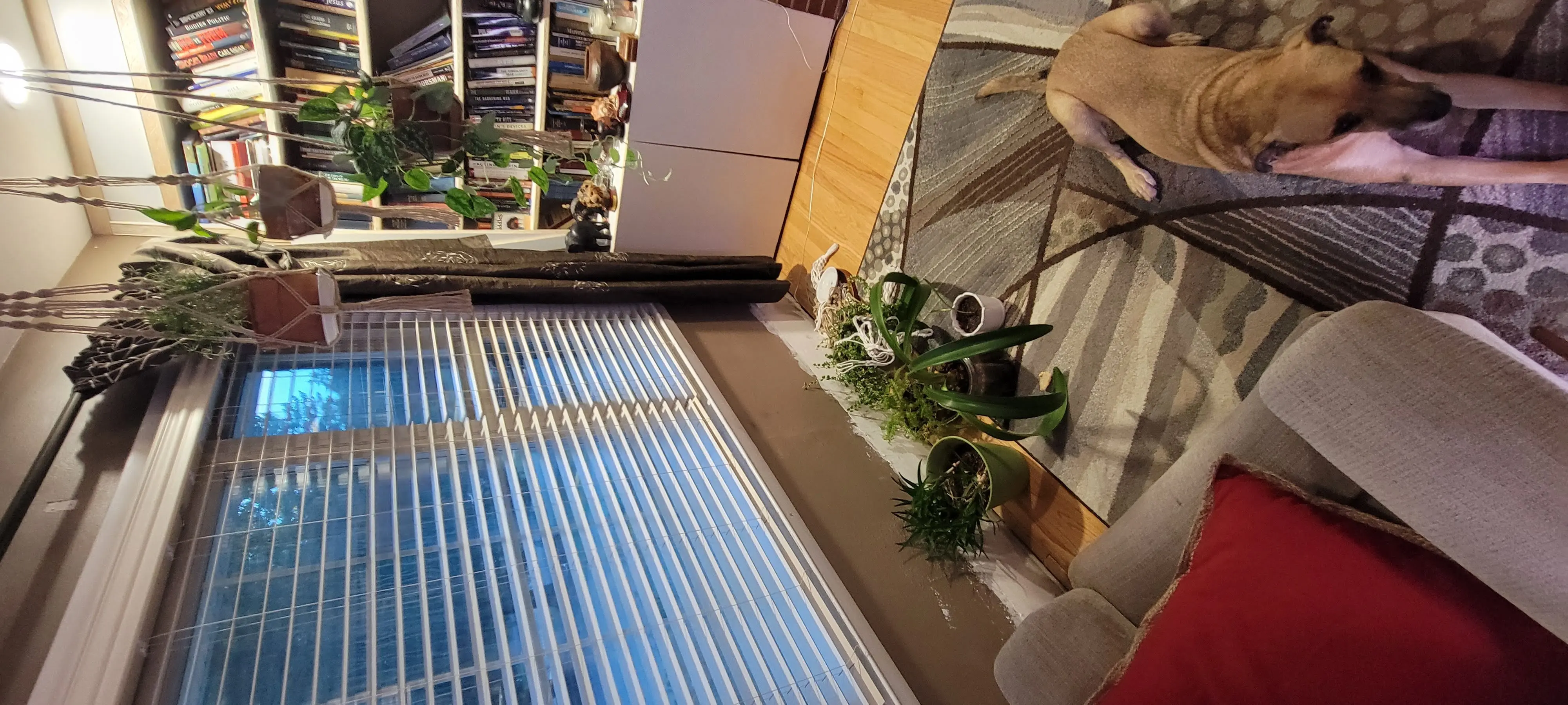 Image 20220904_193646.webp