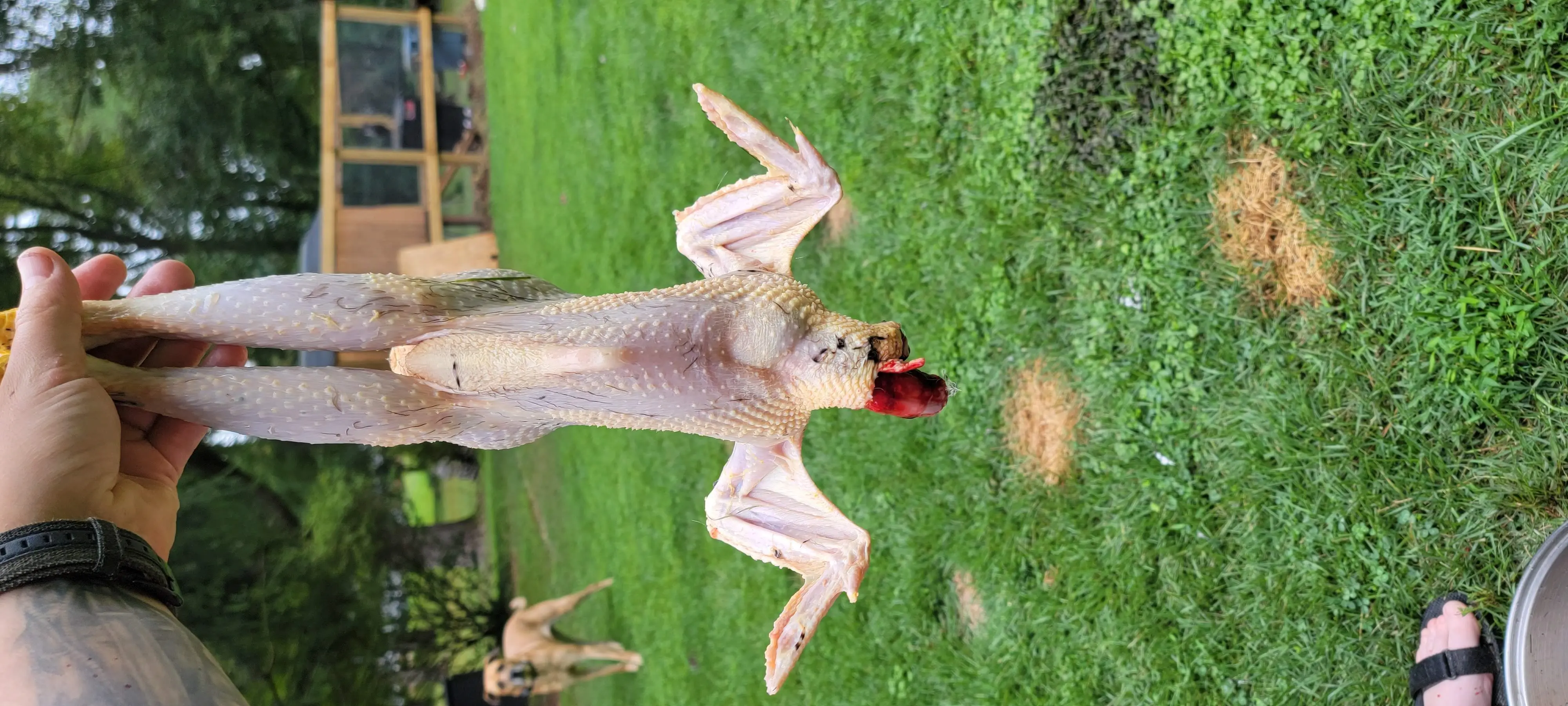 Image 20220907_121545.webp