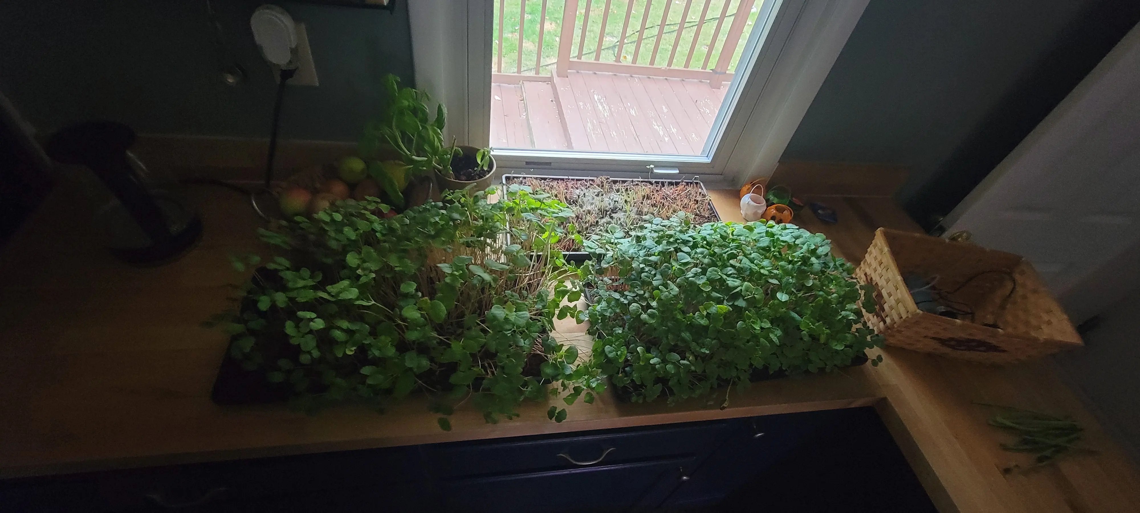 Image 20221019_161626.webp