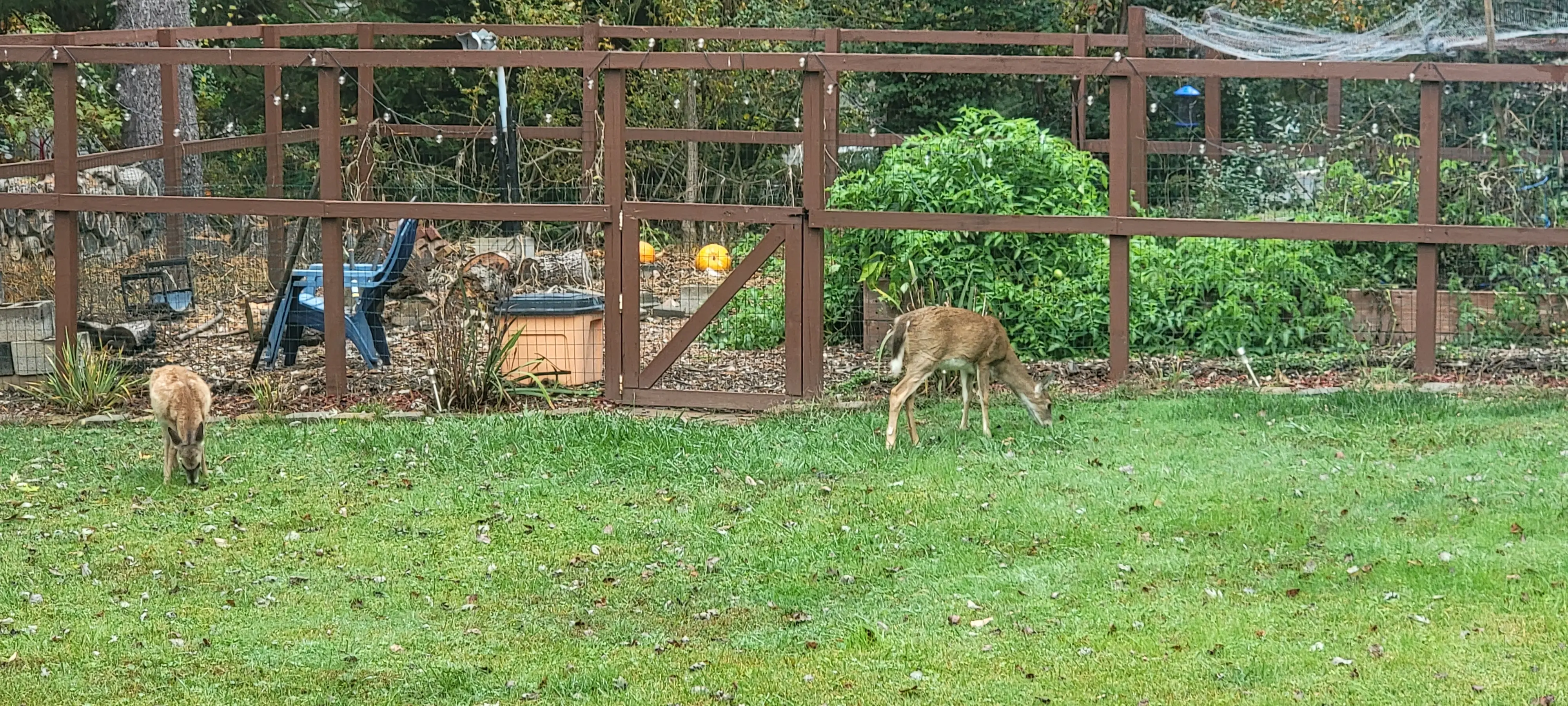 Image 20221026_110122.webp