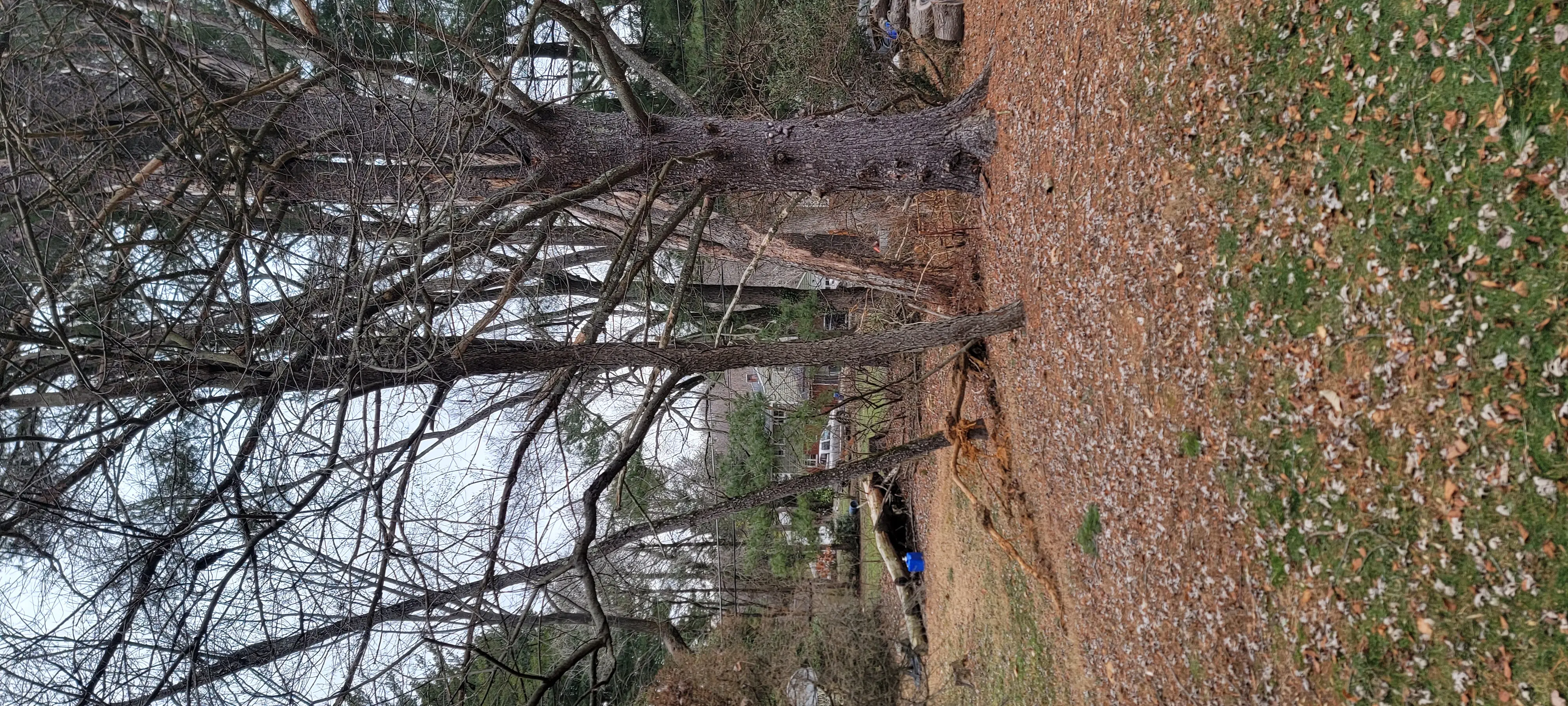 Image 20221226_140942.webp