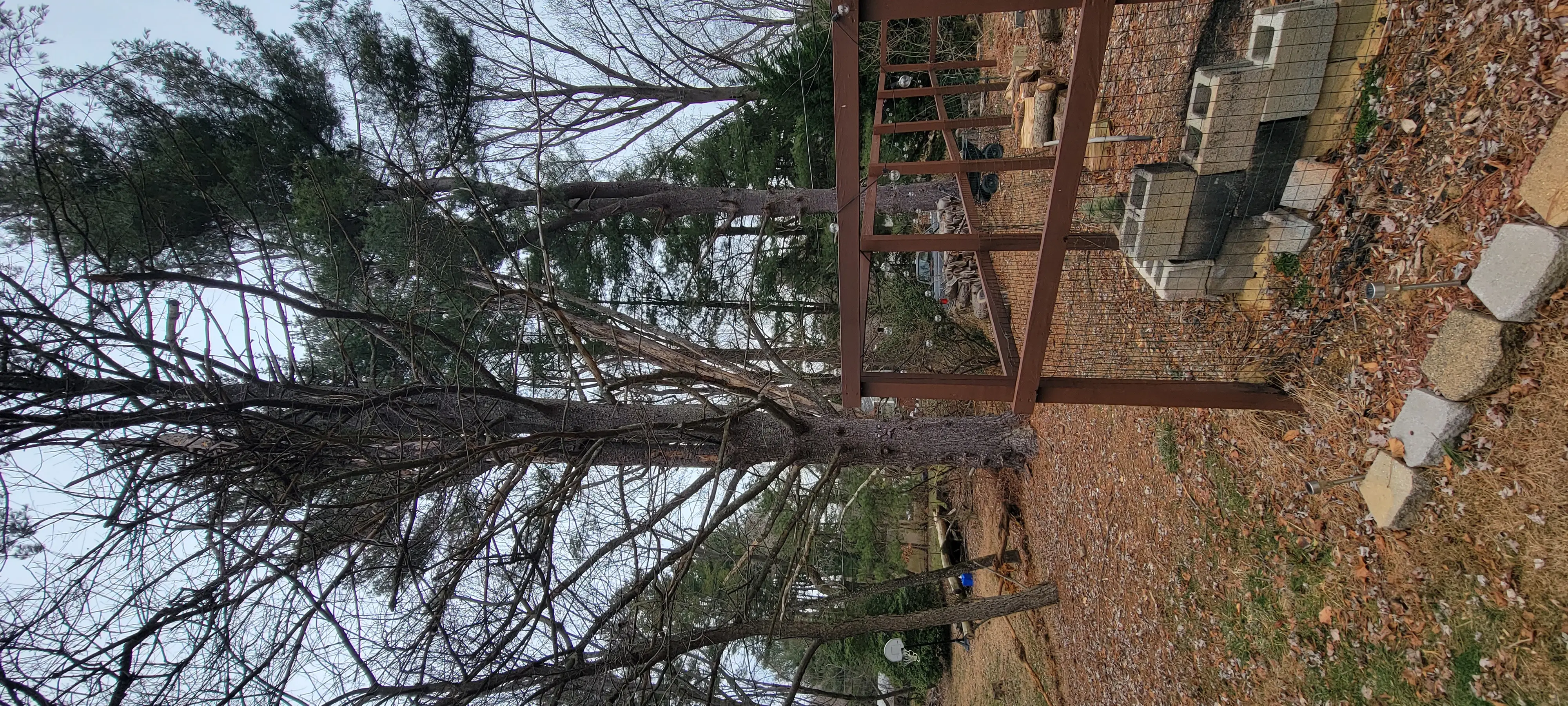 Image 20221226_140950.webp