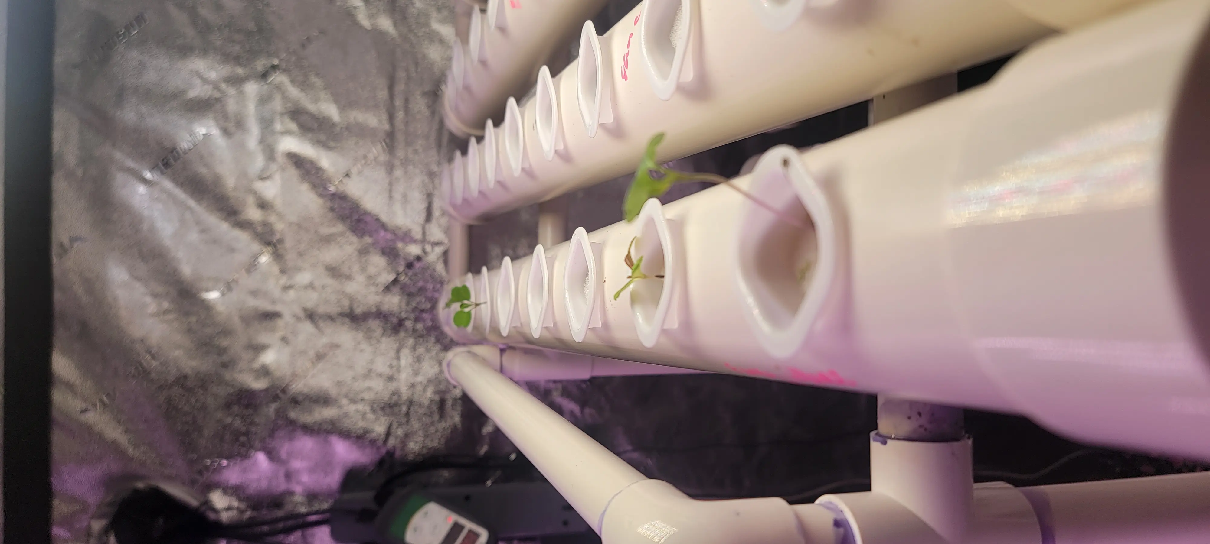 Image 20230110_075731.webp