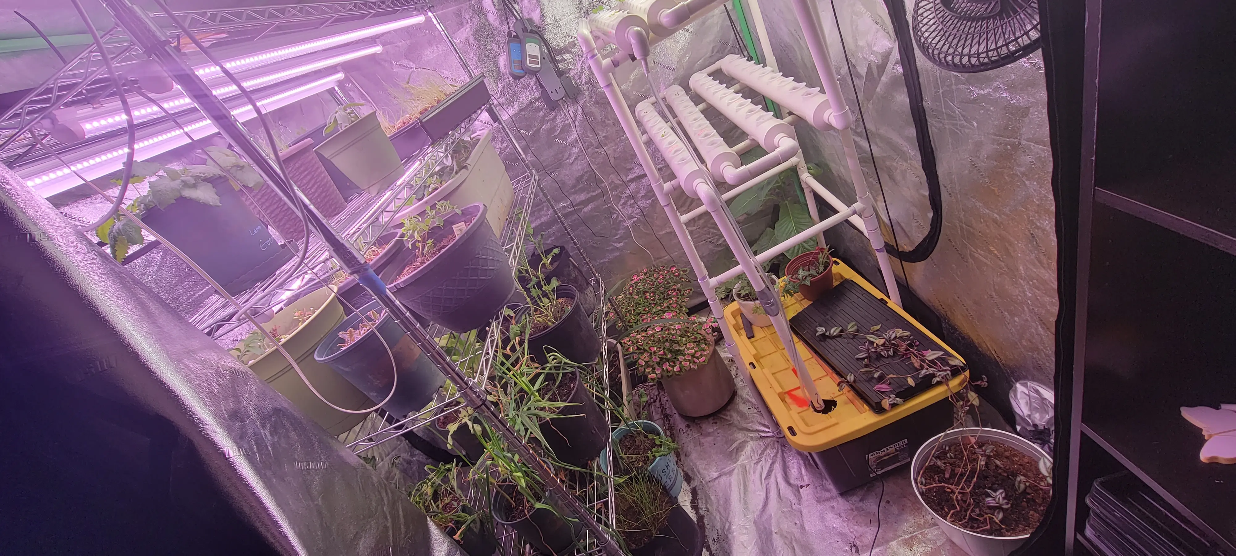 Image 20230110_165640.webp