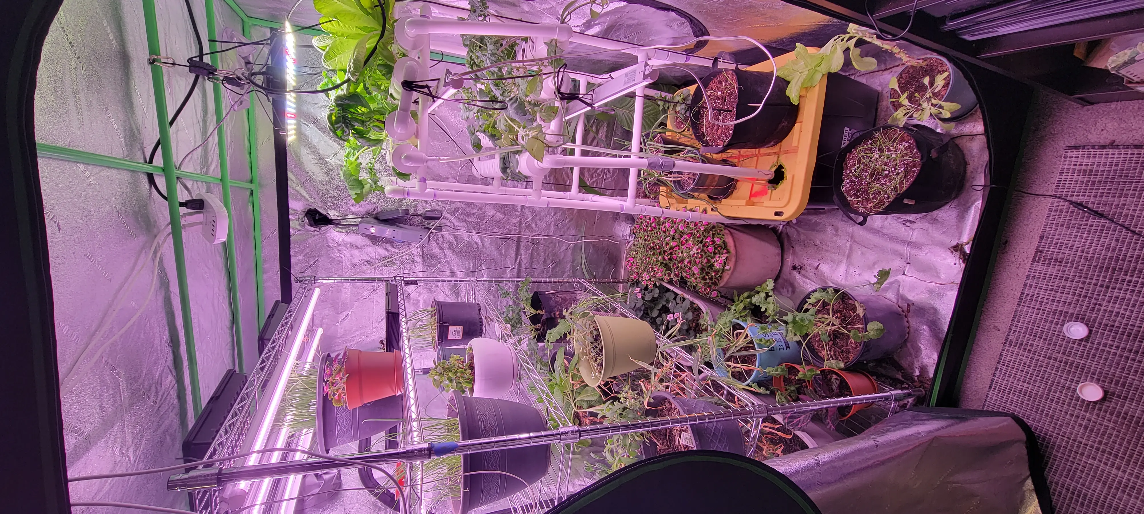 Image 20230205_120311.webp