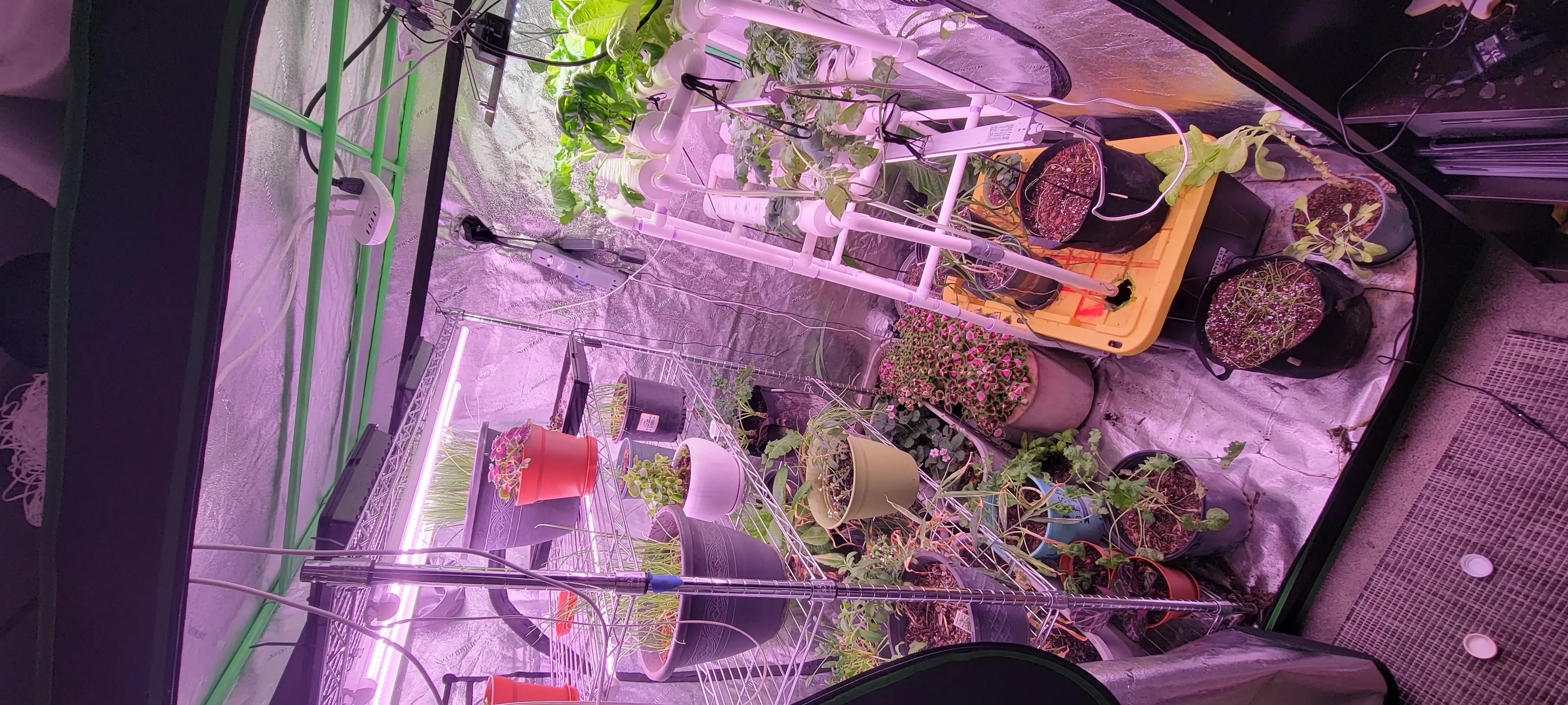 Image 20230205_120315.webp