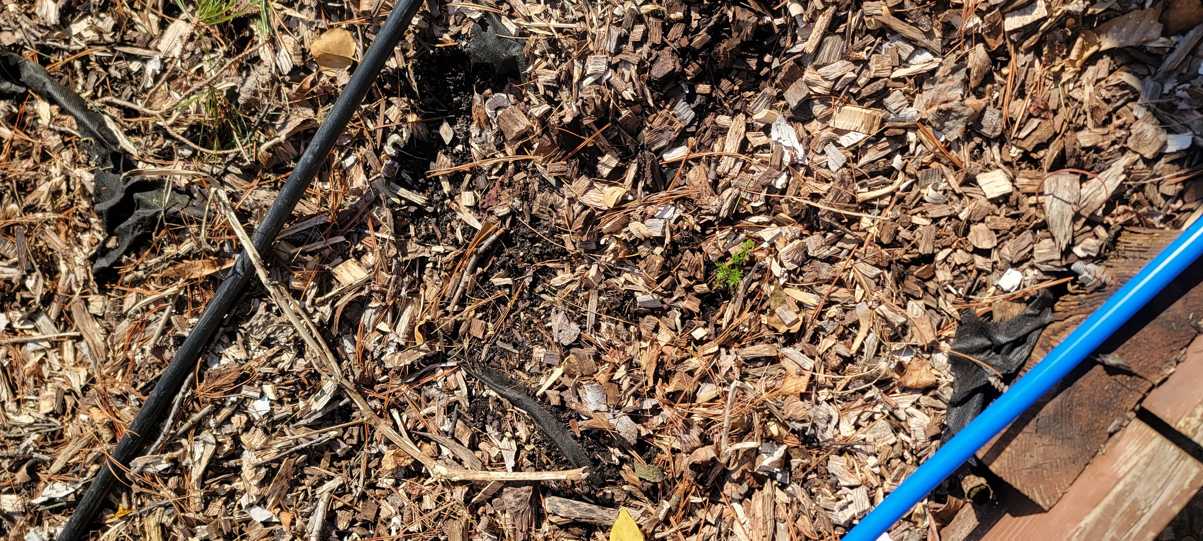 Image 20230226_141848.webp