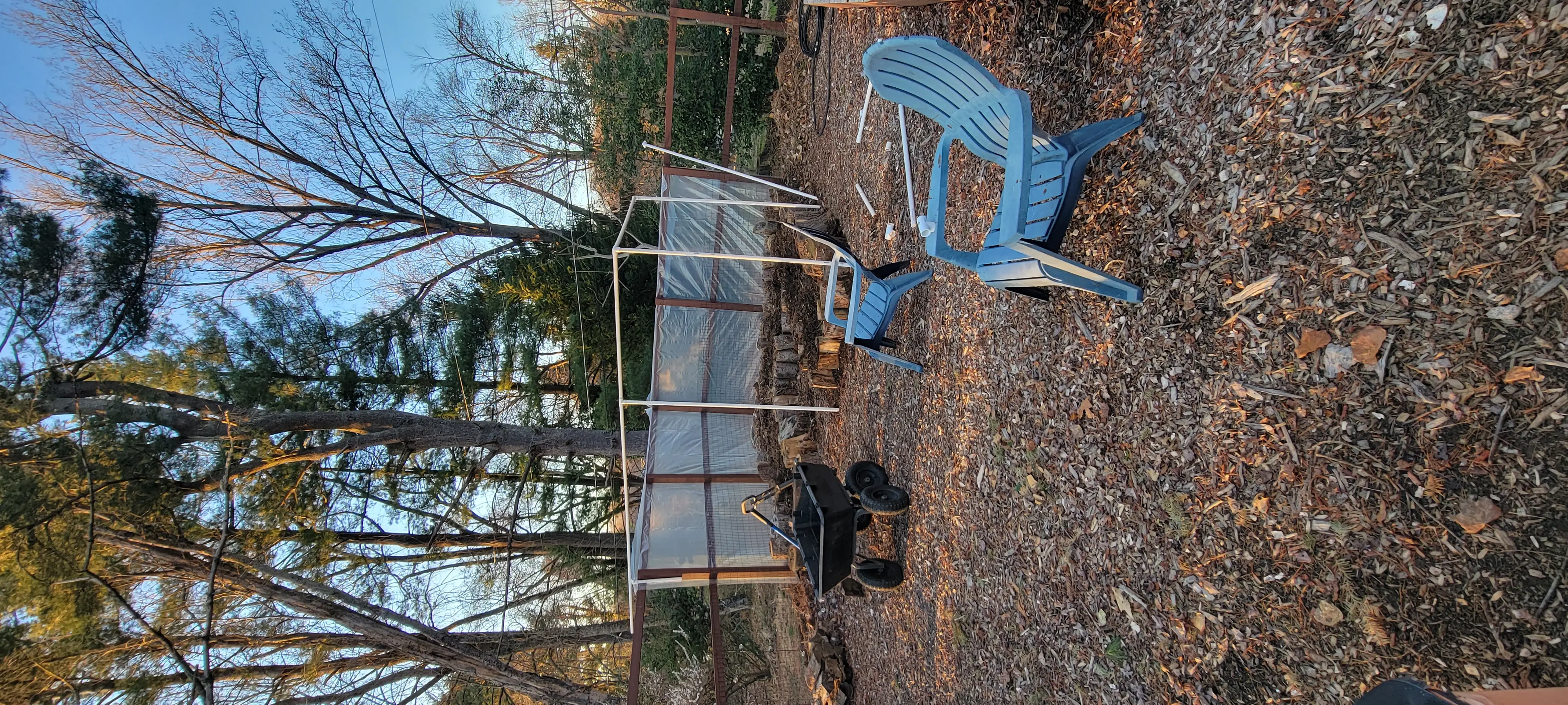 Image 20230226_172722.webp