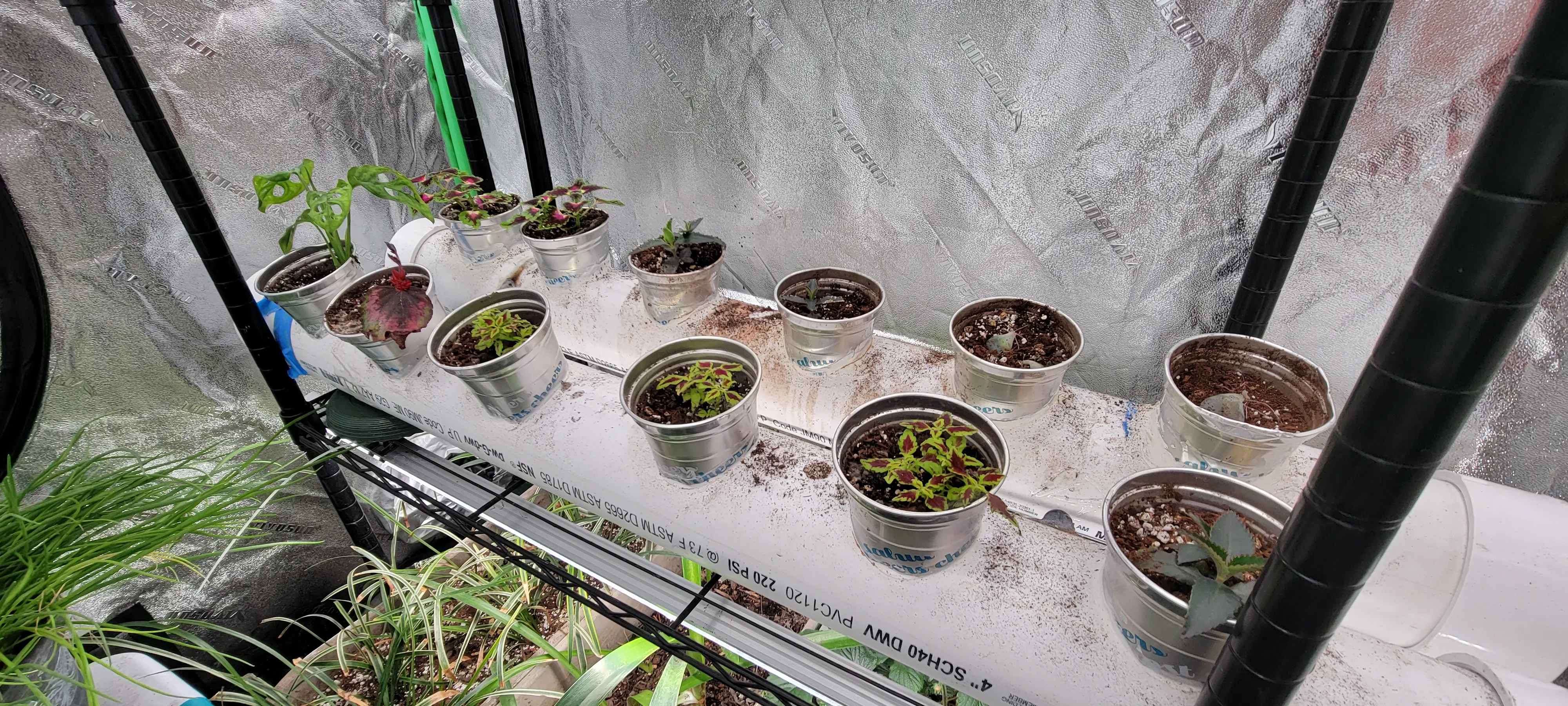 Image 20230226_191022.webp