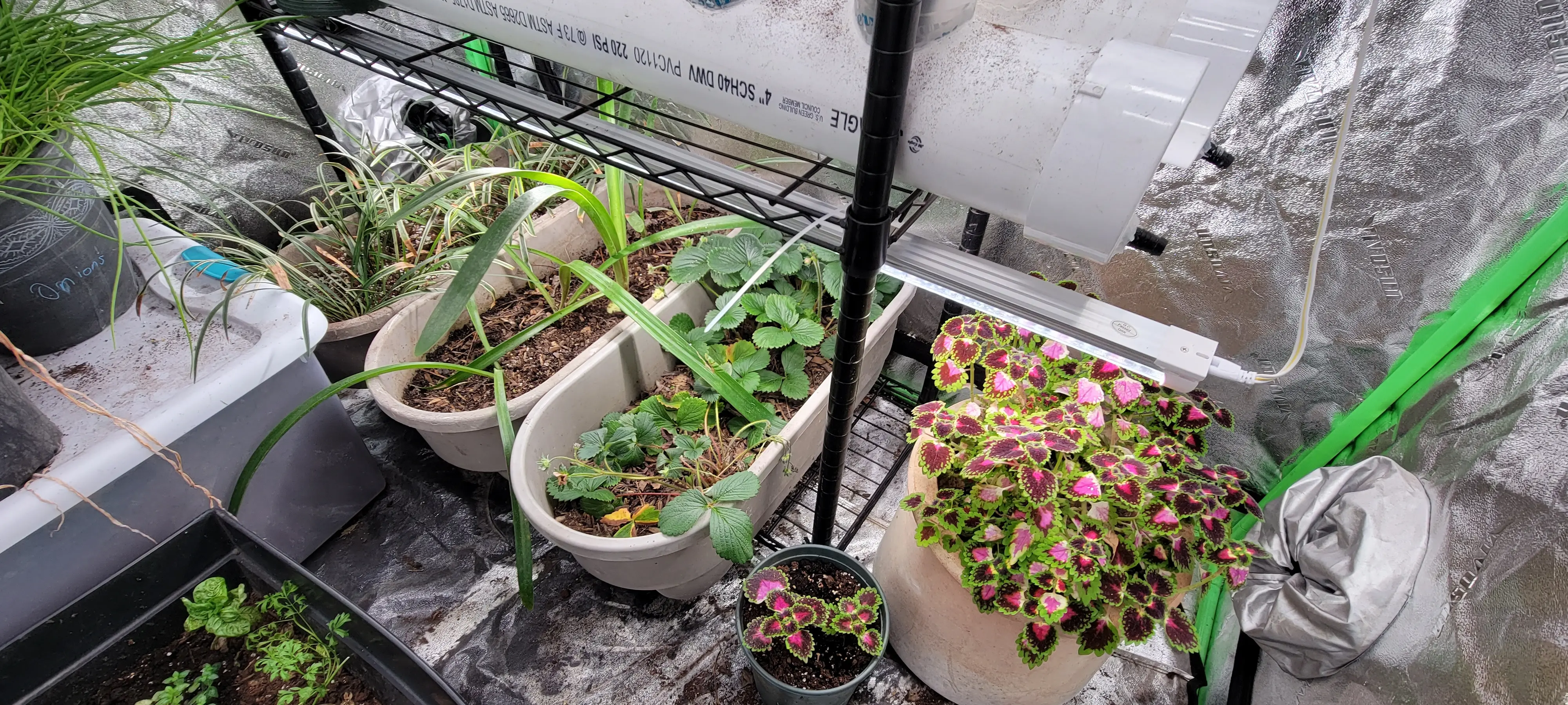 Image 20230226_191026.webp