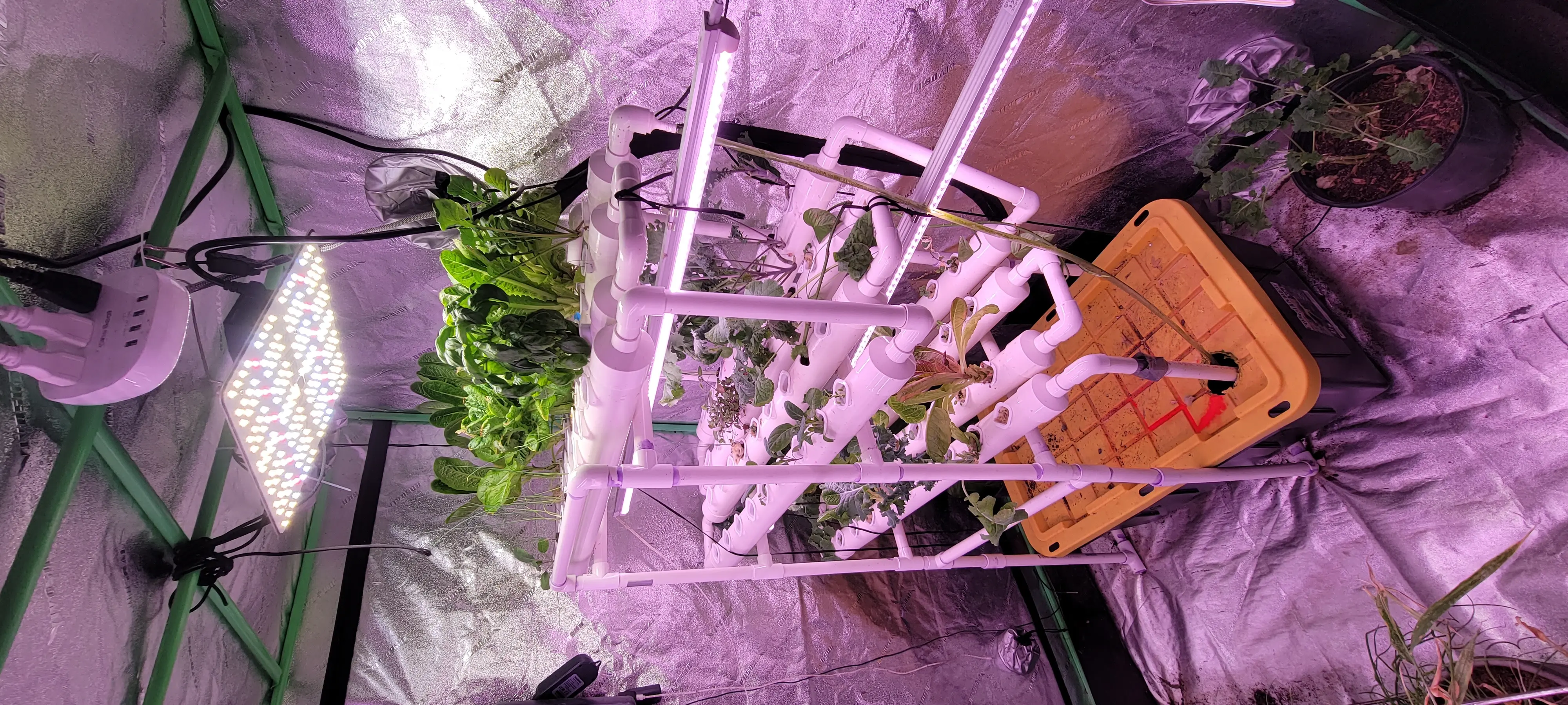 Image 20230226_191100.webp