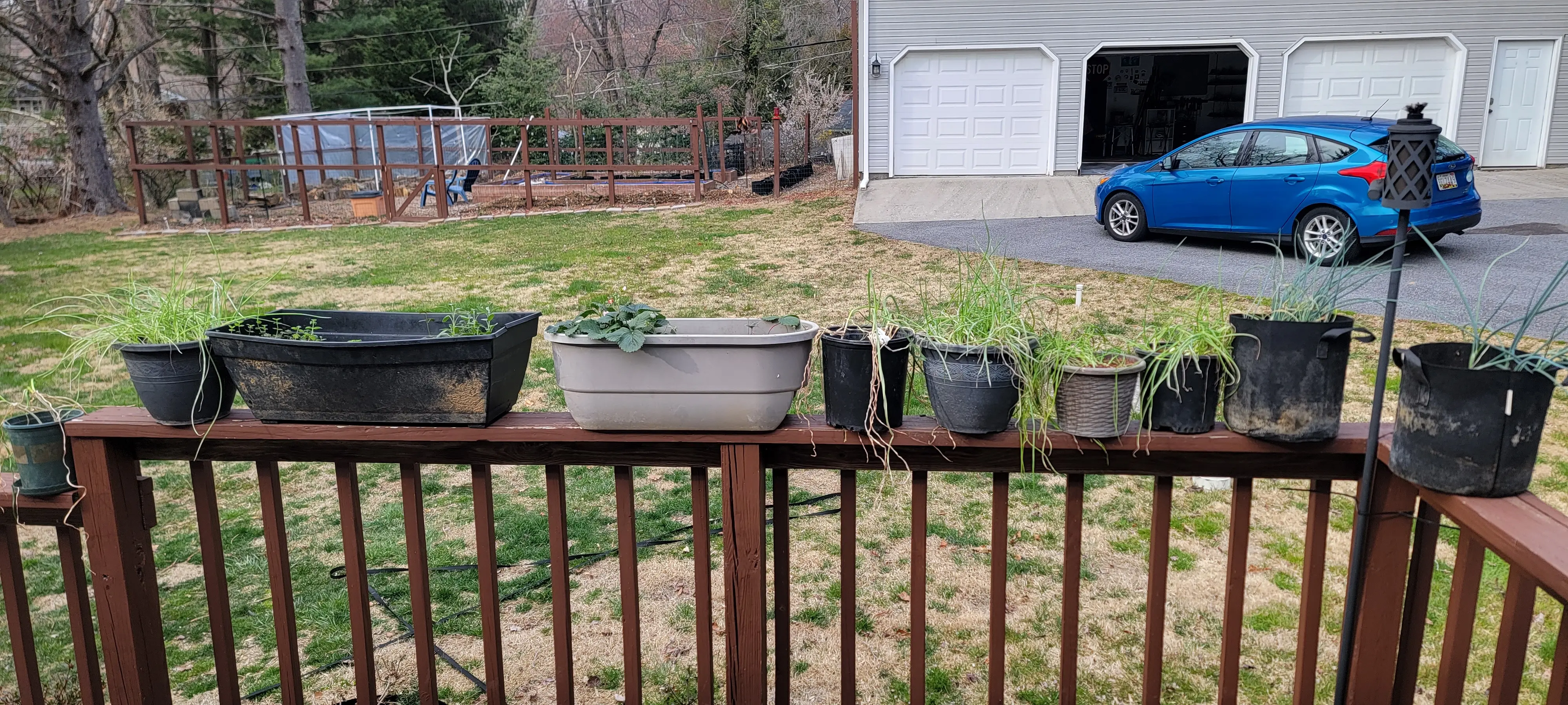 Image 20230321_170523.webp