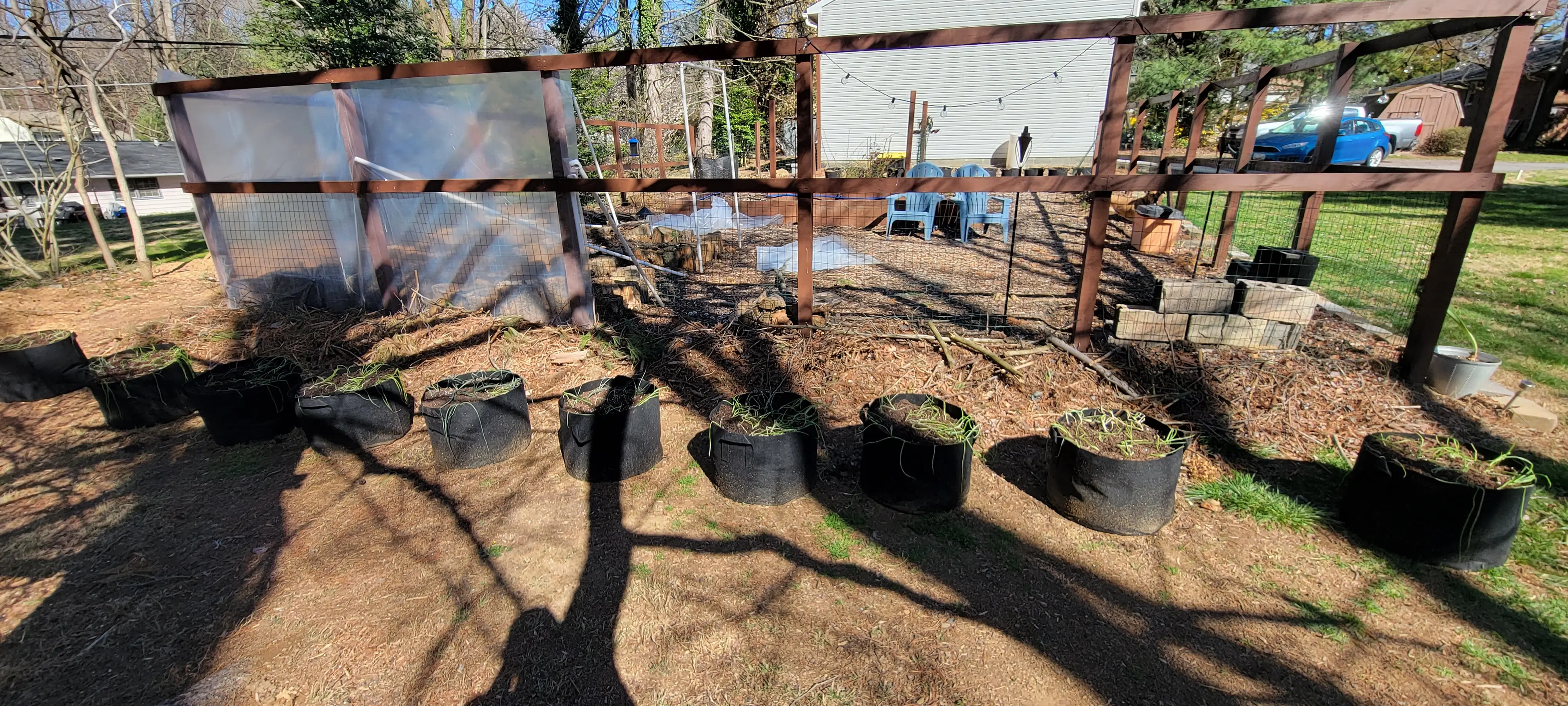 Image 20230326_155405.webp