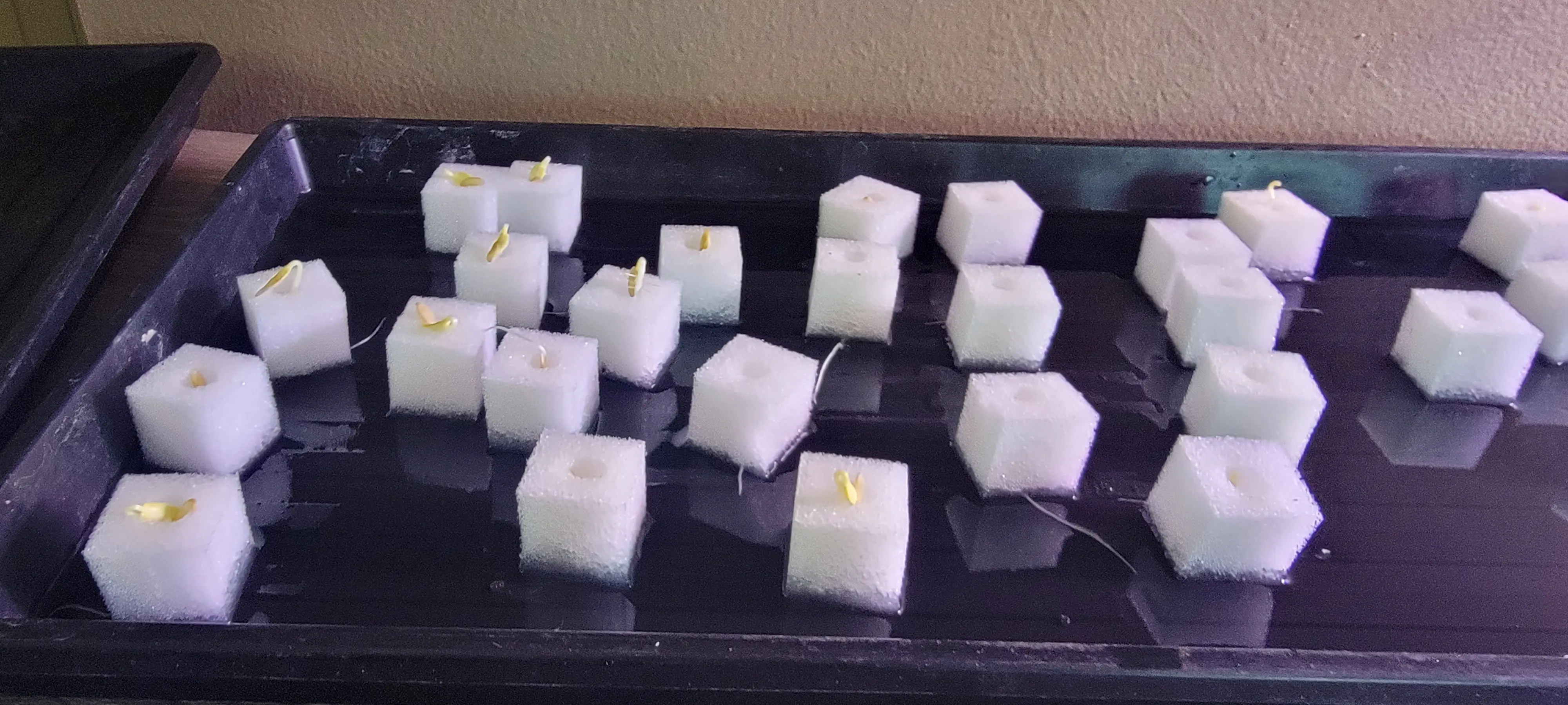 Image 20230329_104704.webp