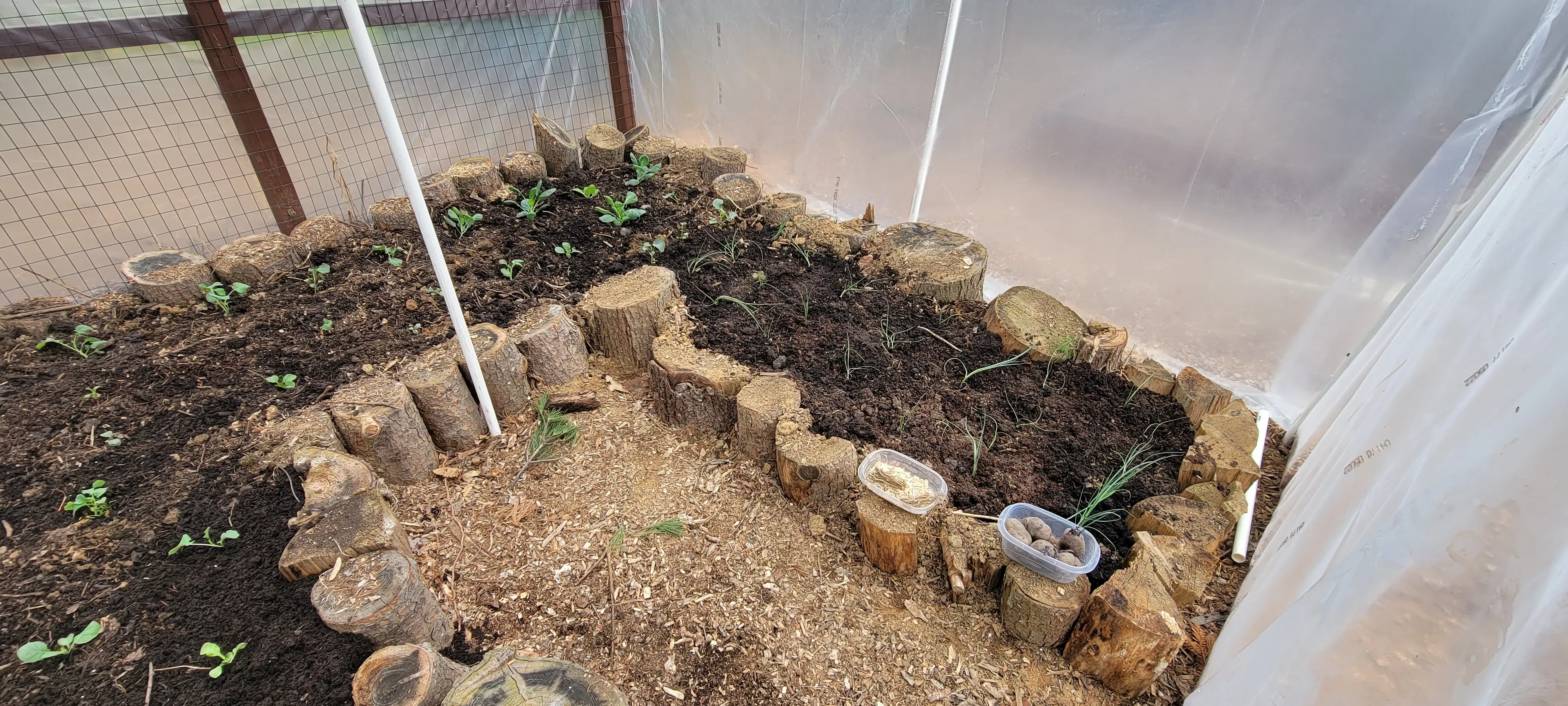 Image 20230331_112607.webp