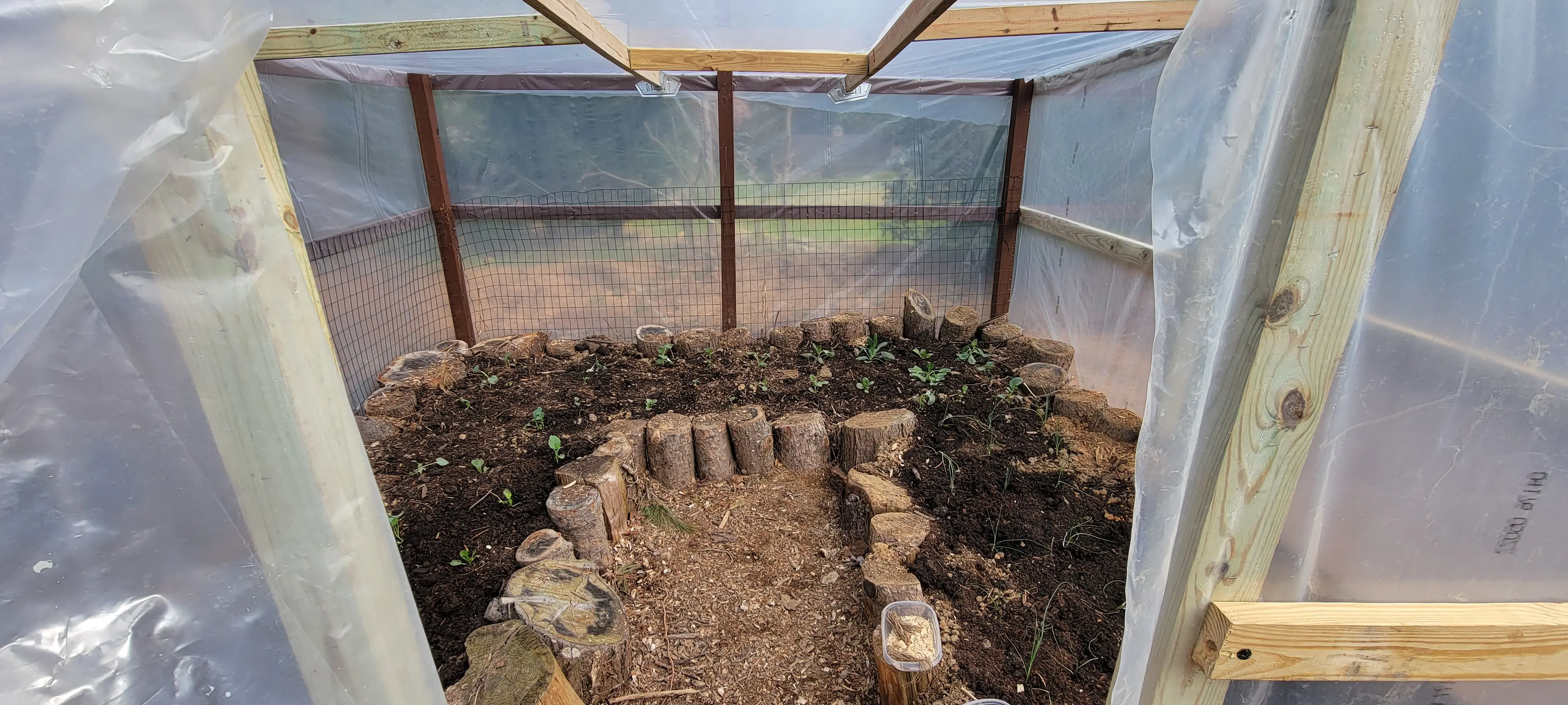 Image 20230403_085747.webp