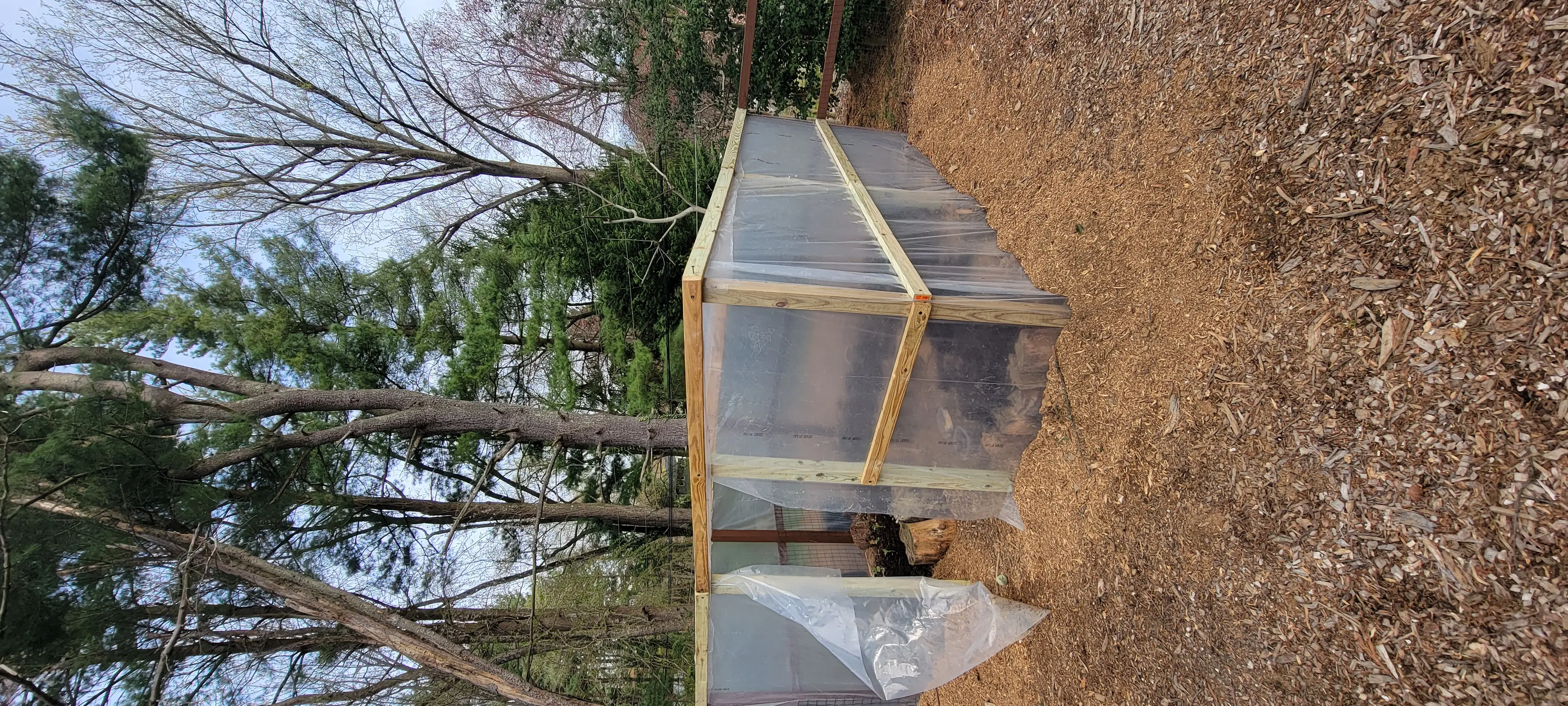 Image 20230403_085755.webp