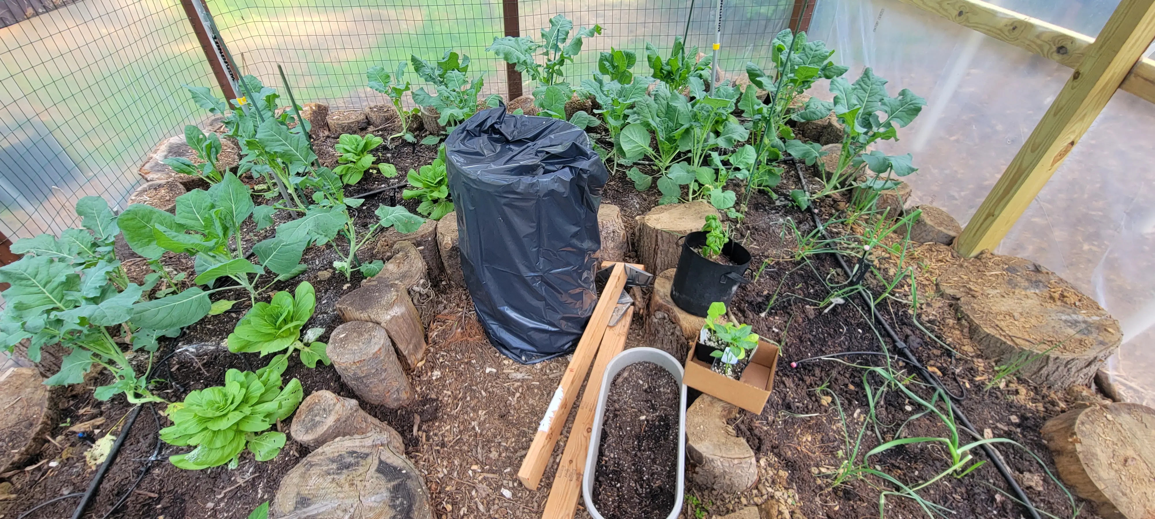 Image 20230512_090241.webp