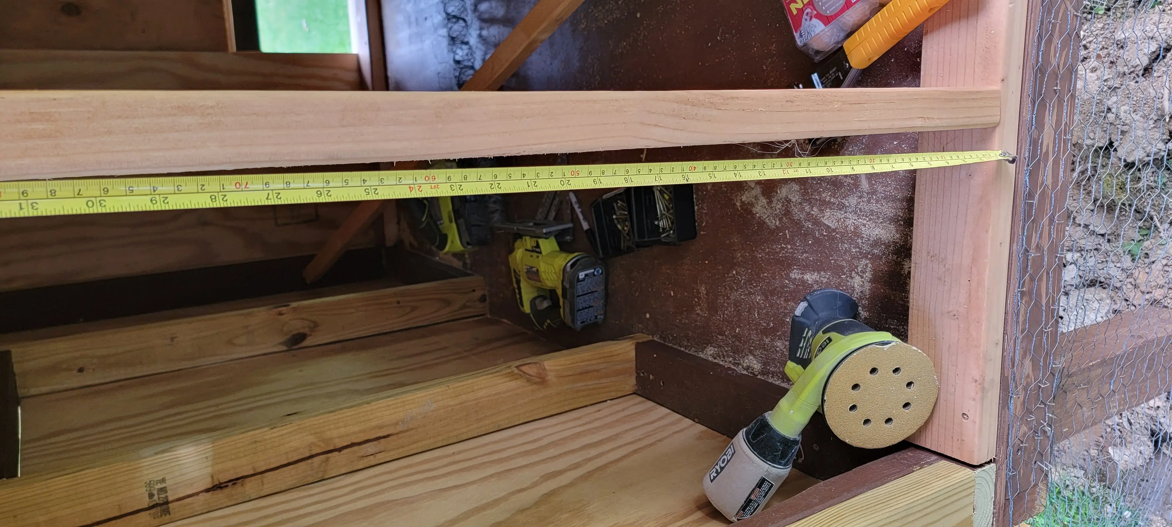 Image Chickens/20220705_074854.webp