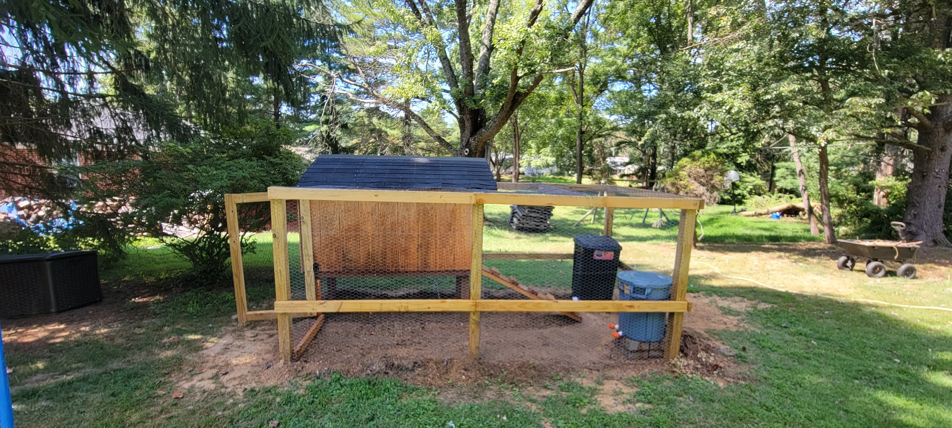 Image Chickens/20220902_130941.webp