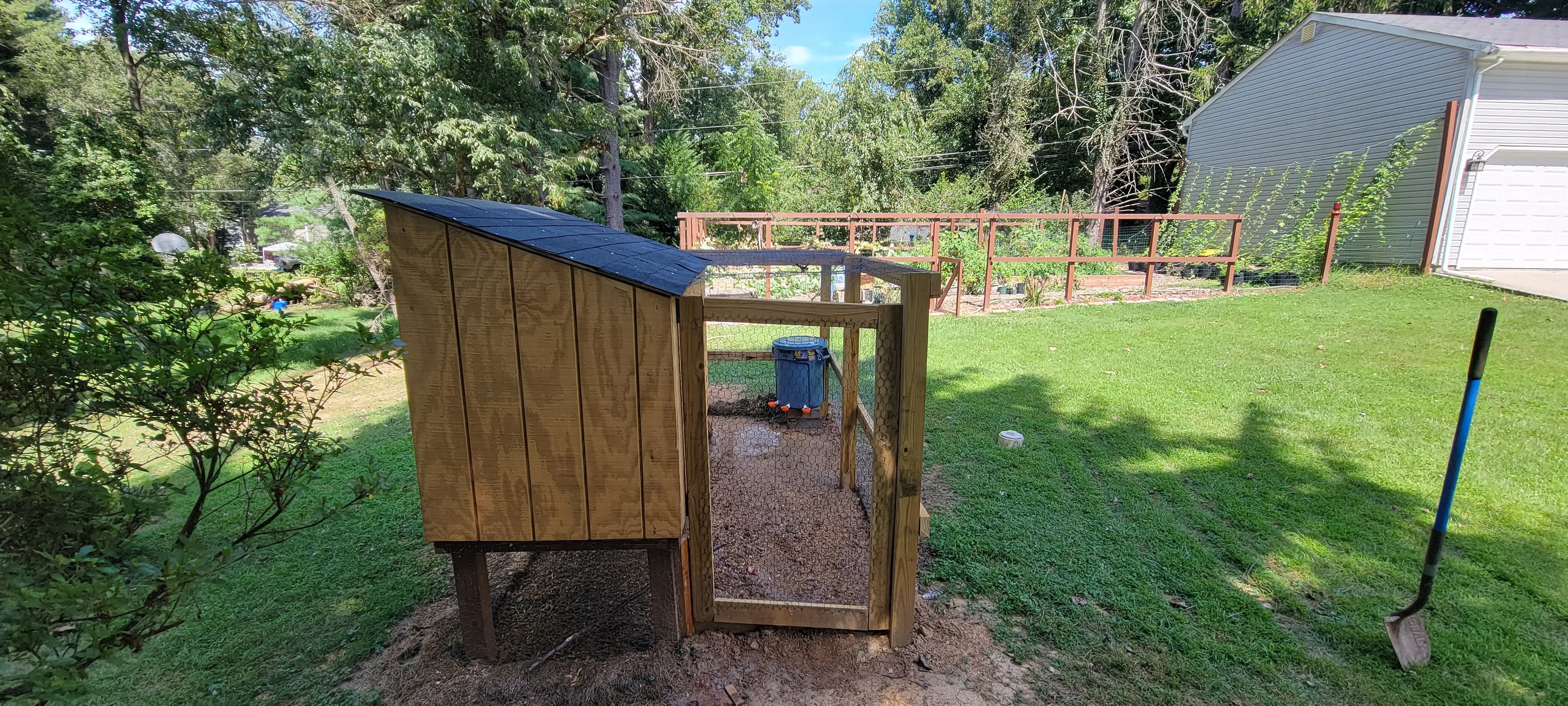 Image Chickens/20220902_130959.webp