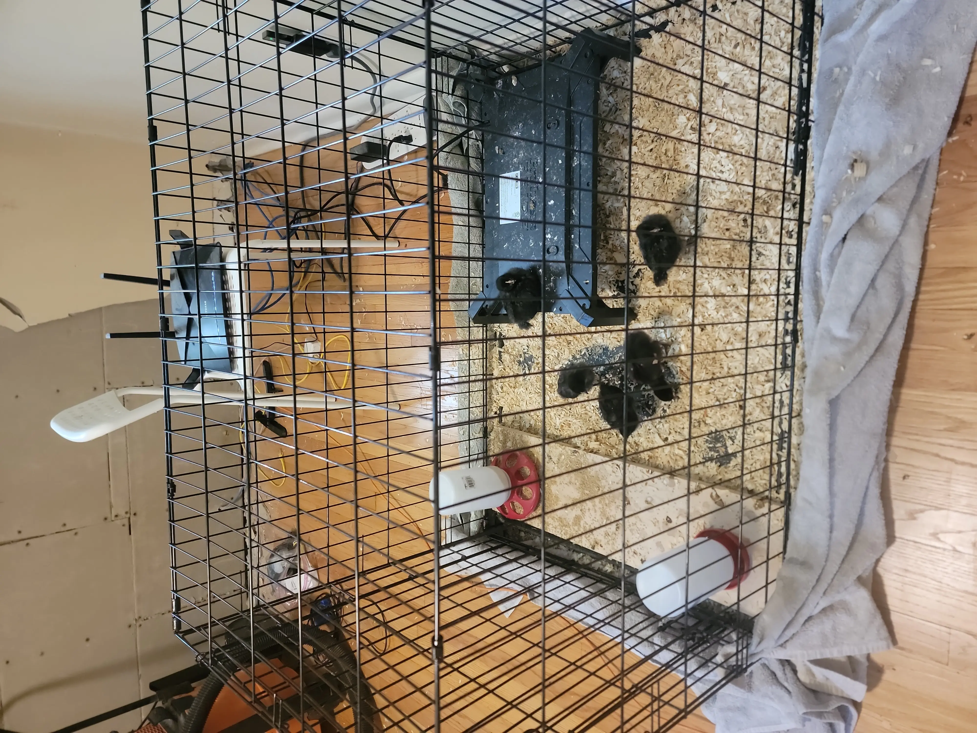 Image IMG_20220810_084113_01.webp