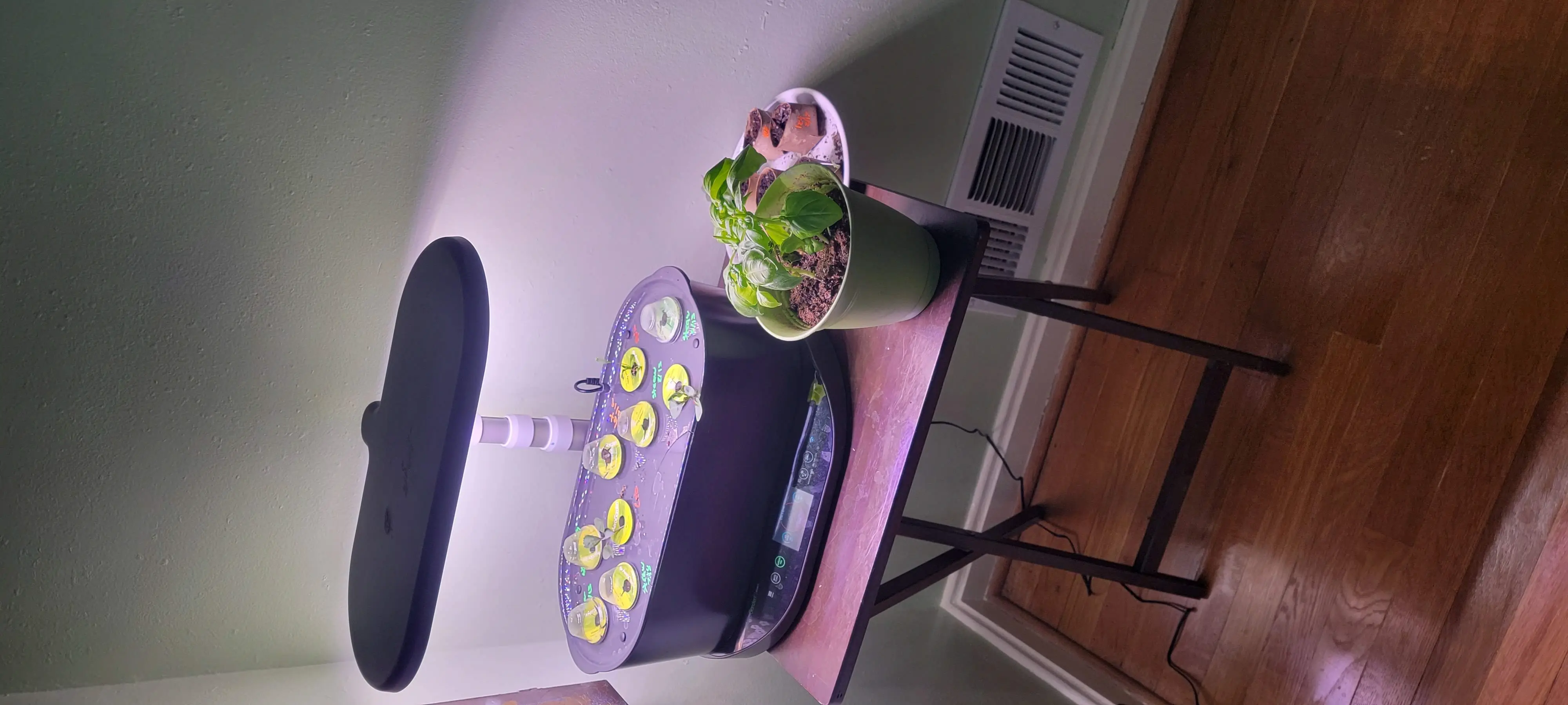 Image Indoor/20220220_171129.webp