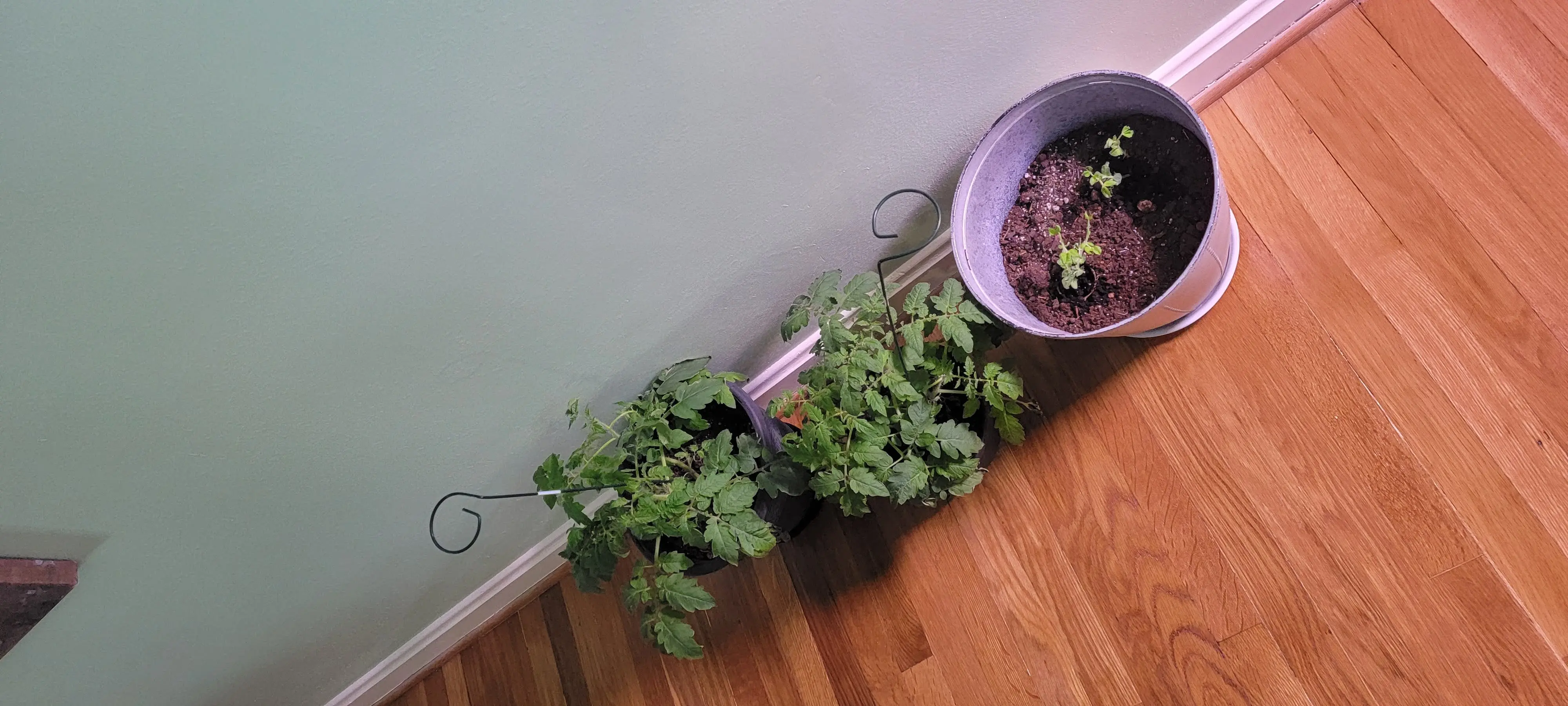 Image Indoor/20220220_171131.webp