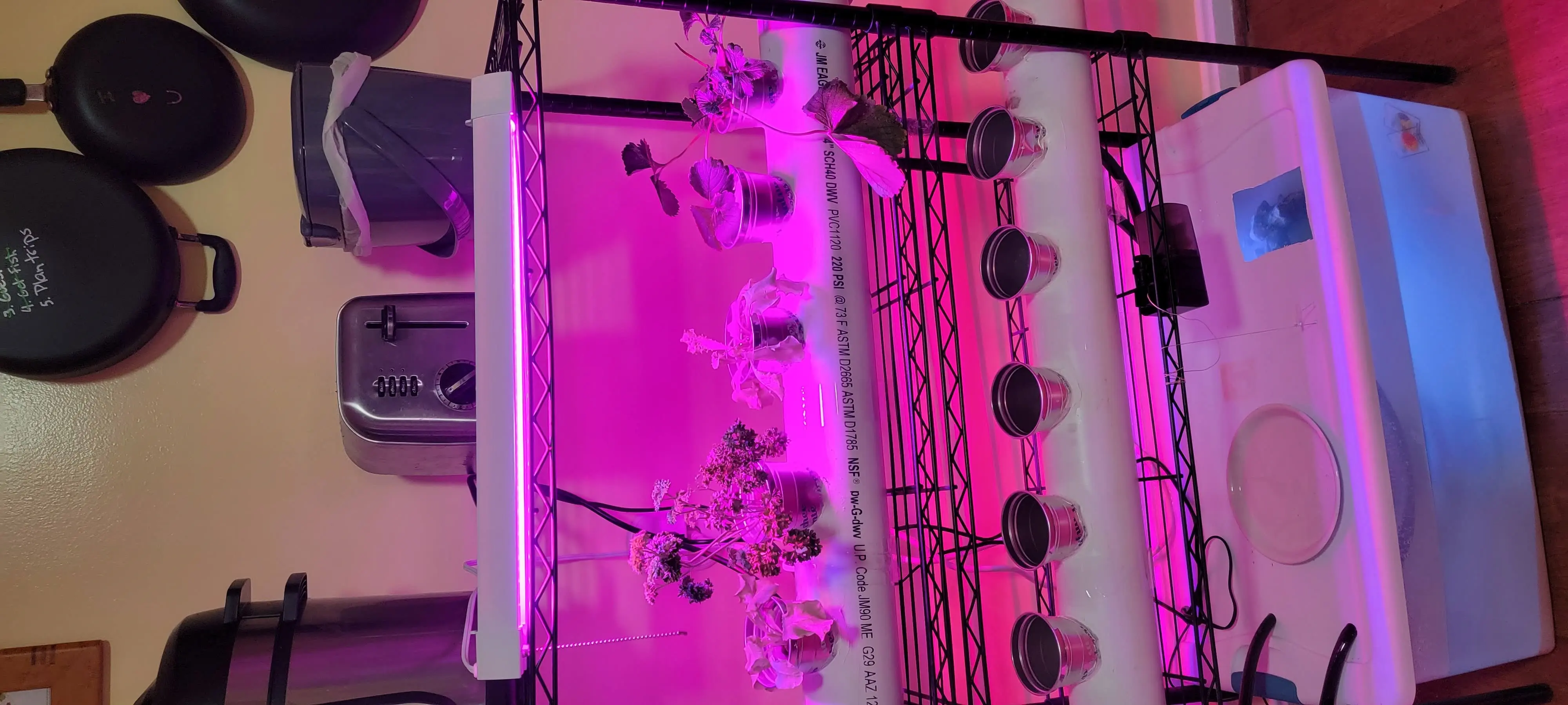 Image Indoor/20220221_192433.webp