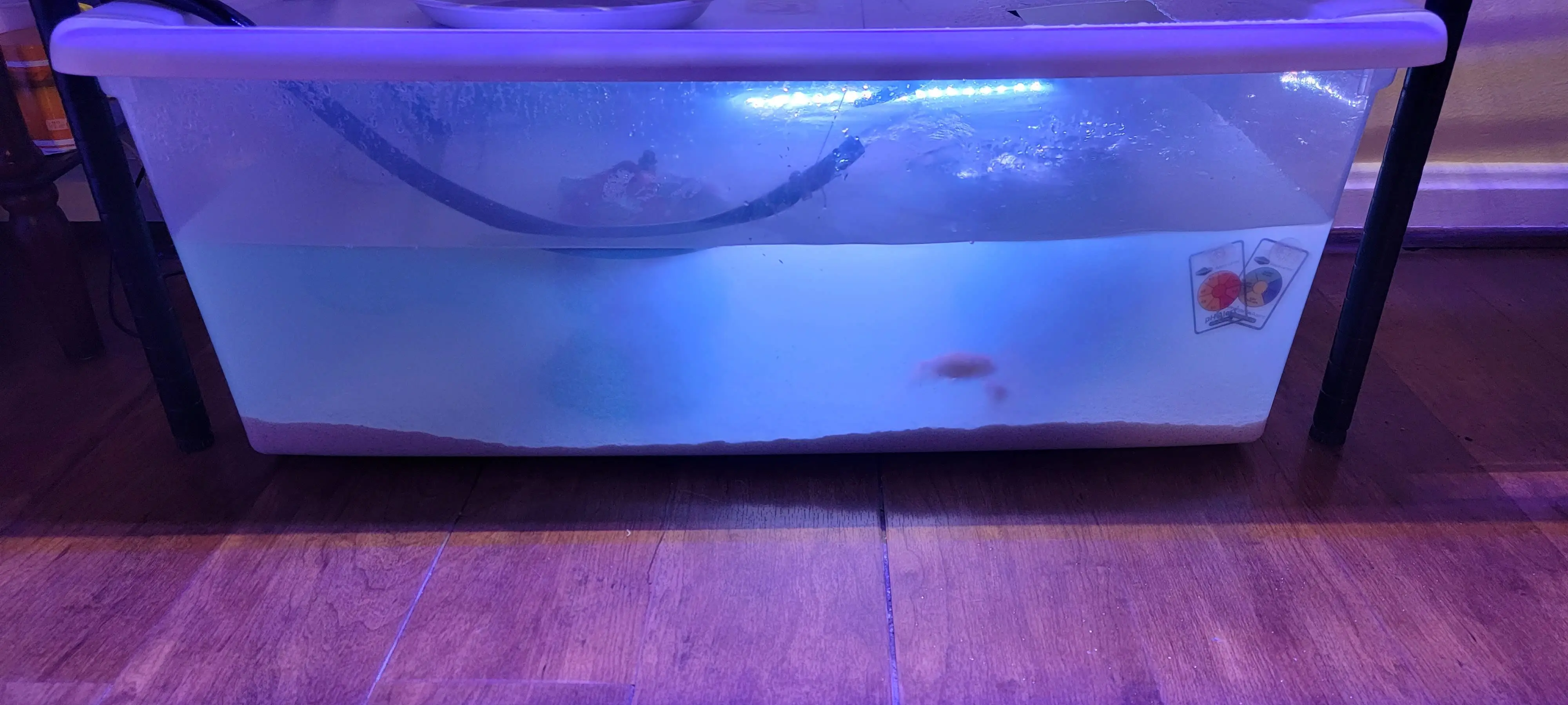 Image Indoor/20220221_195253.webp