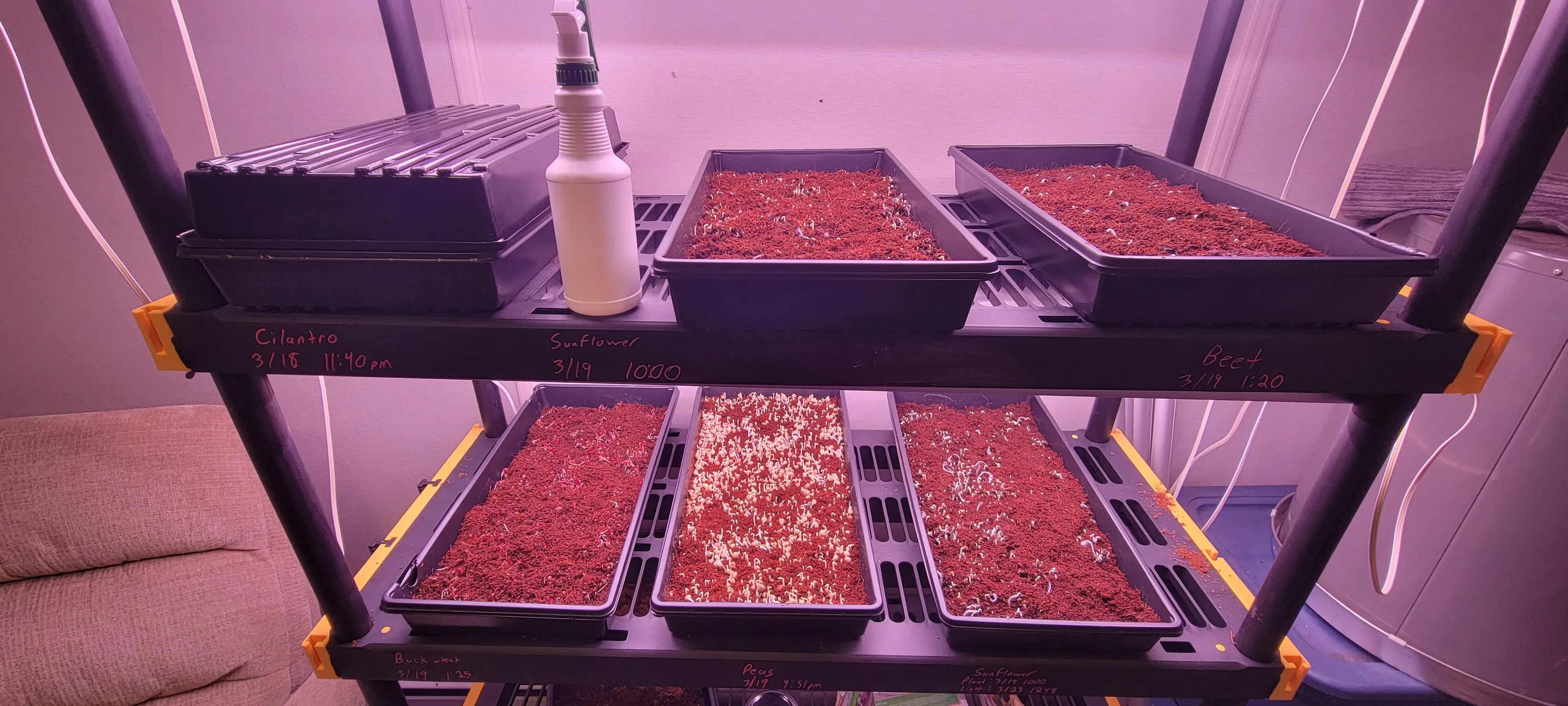 Image Indoor/20220323_124913.webp