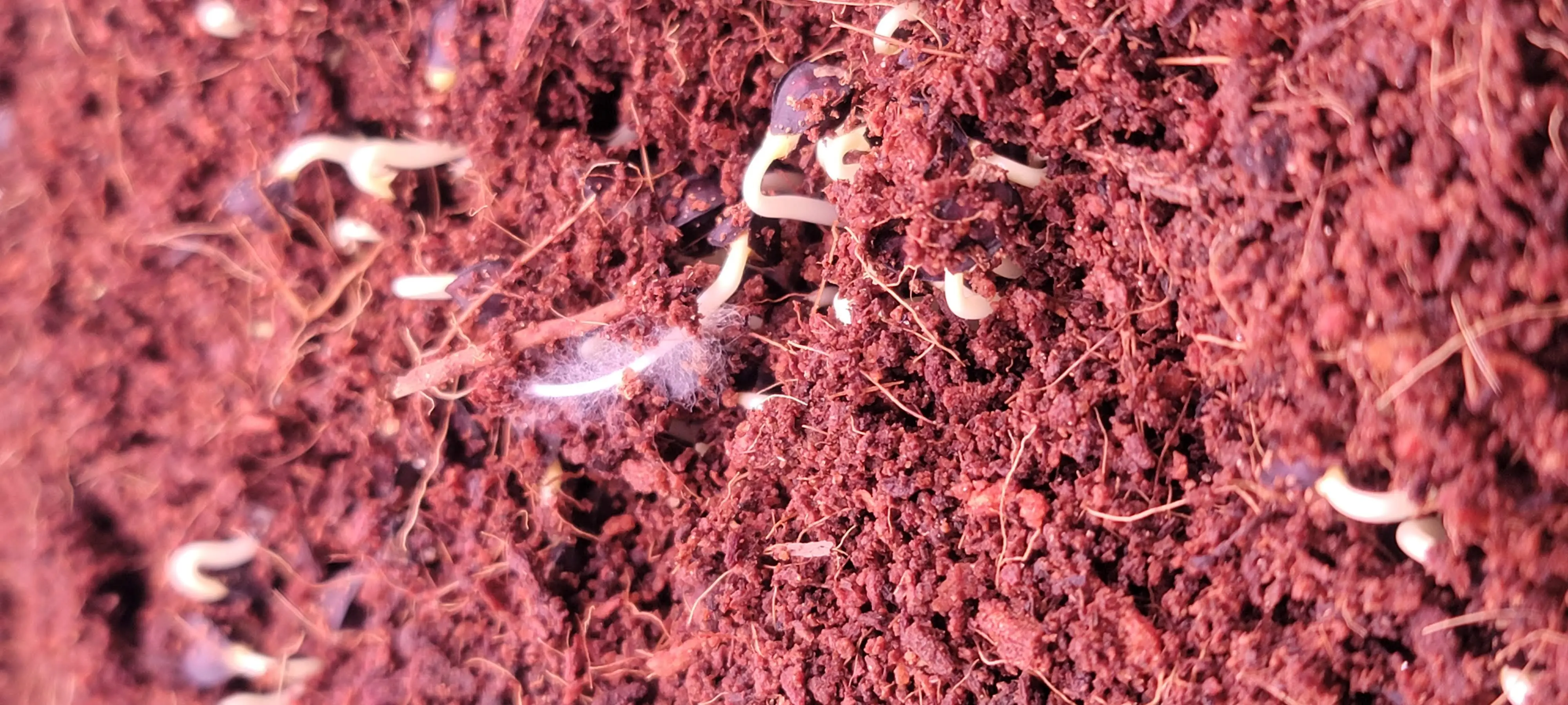 Image Indoor/20220323_125201.webp