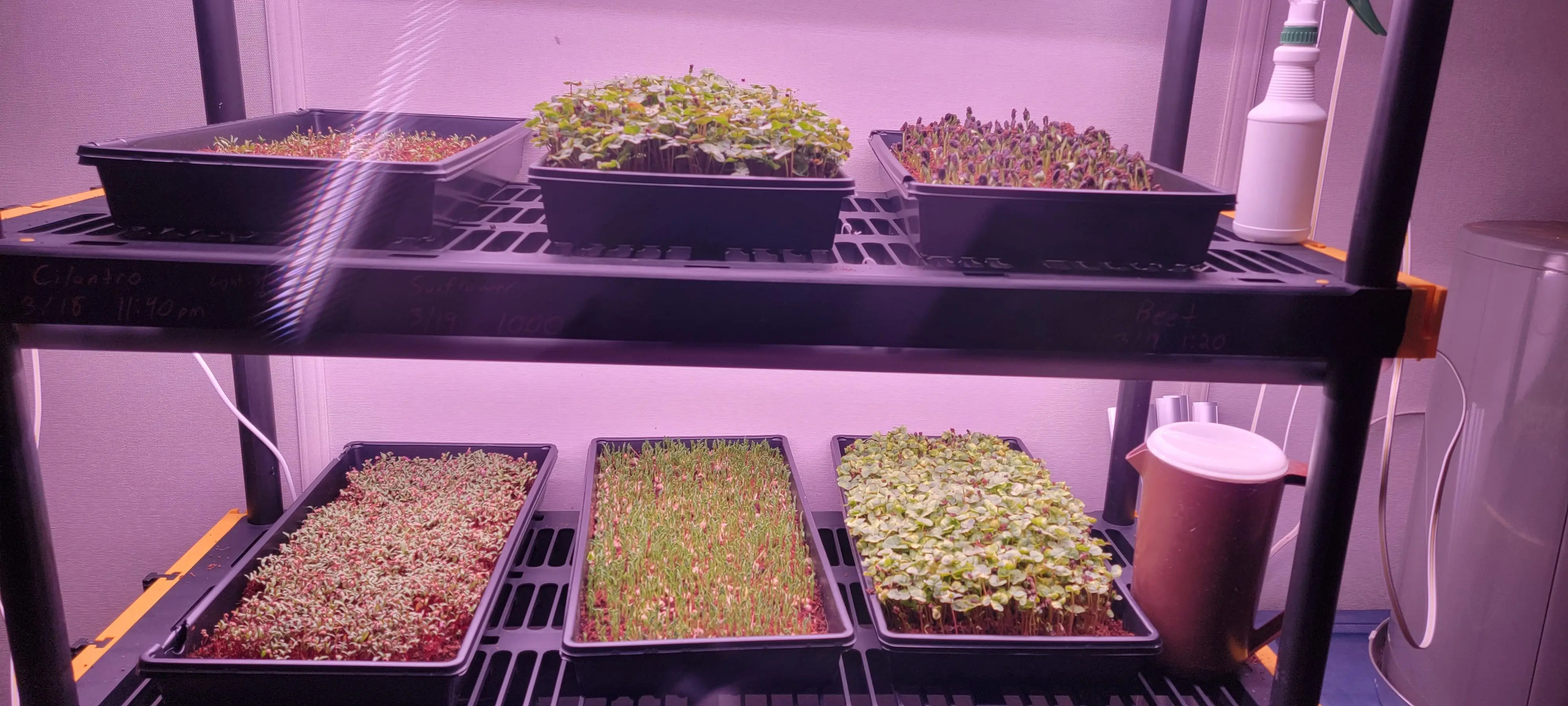 Image Indoor/20220327_113522.webp