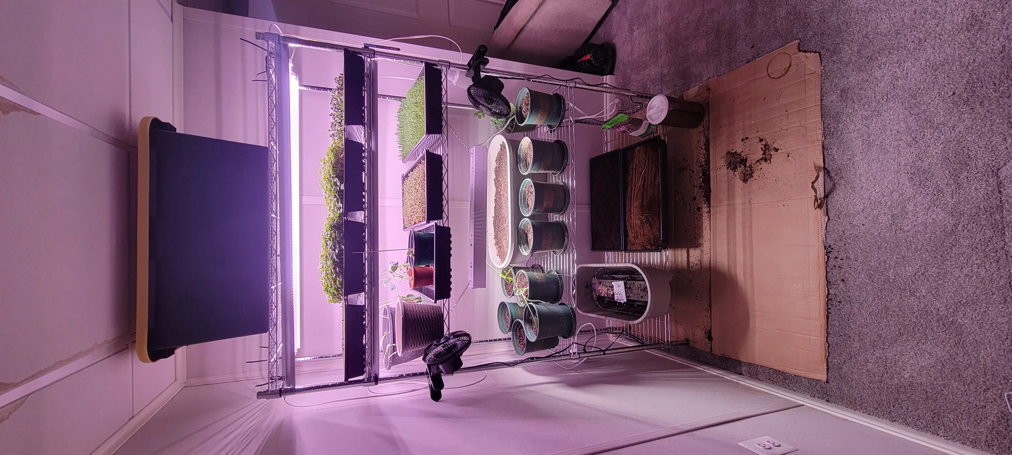 Image Indoor/20220328_174401.webp