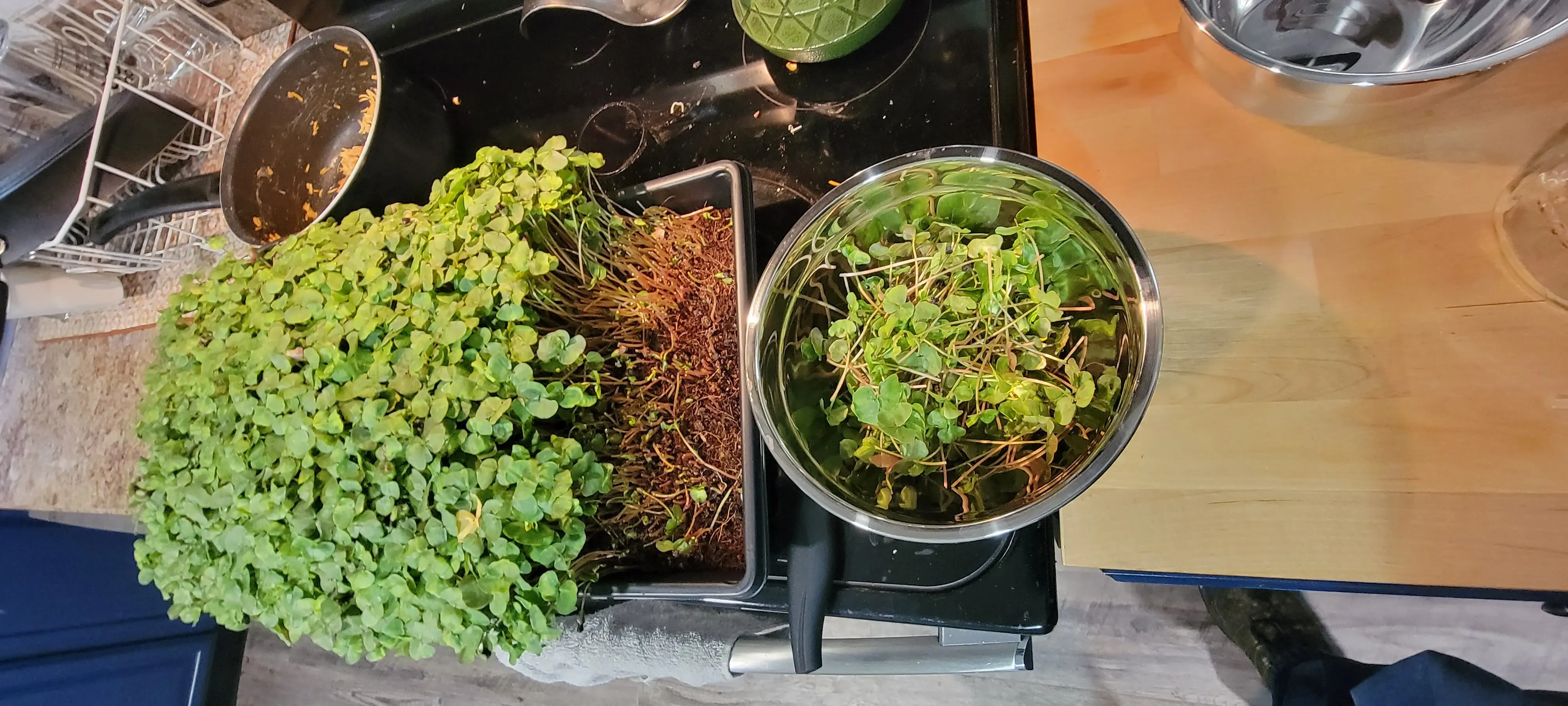 Image Indoor/20220328_174910.webp