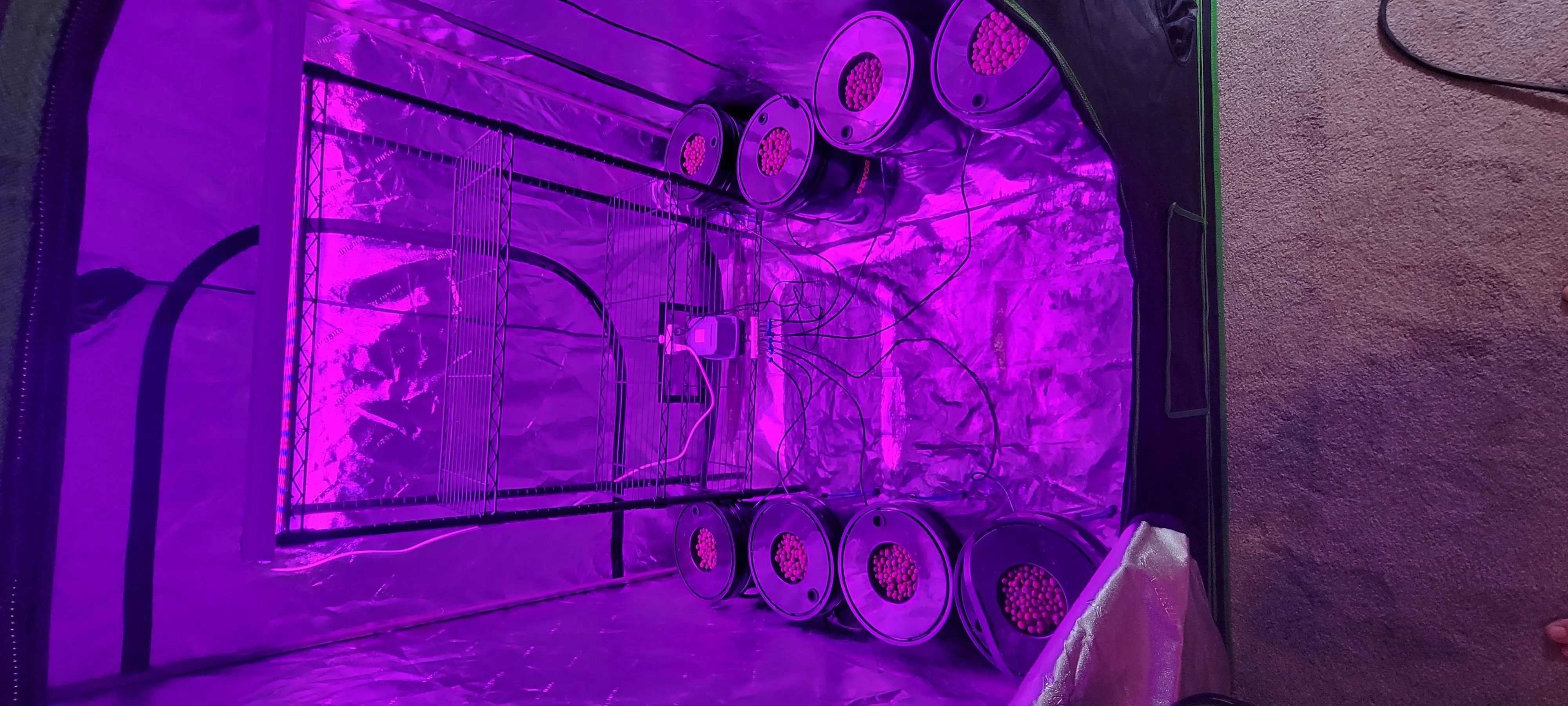 Image Indoor/20220825_015753.webp