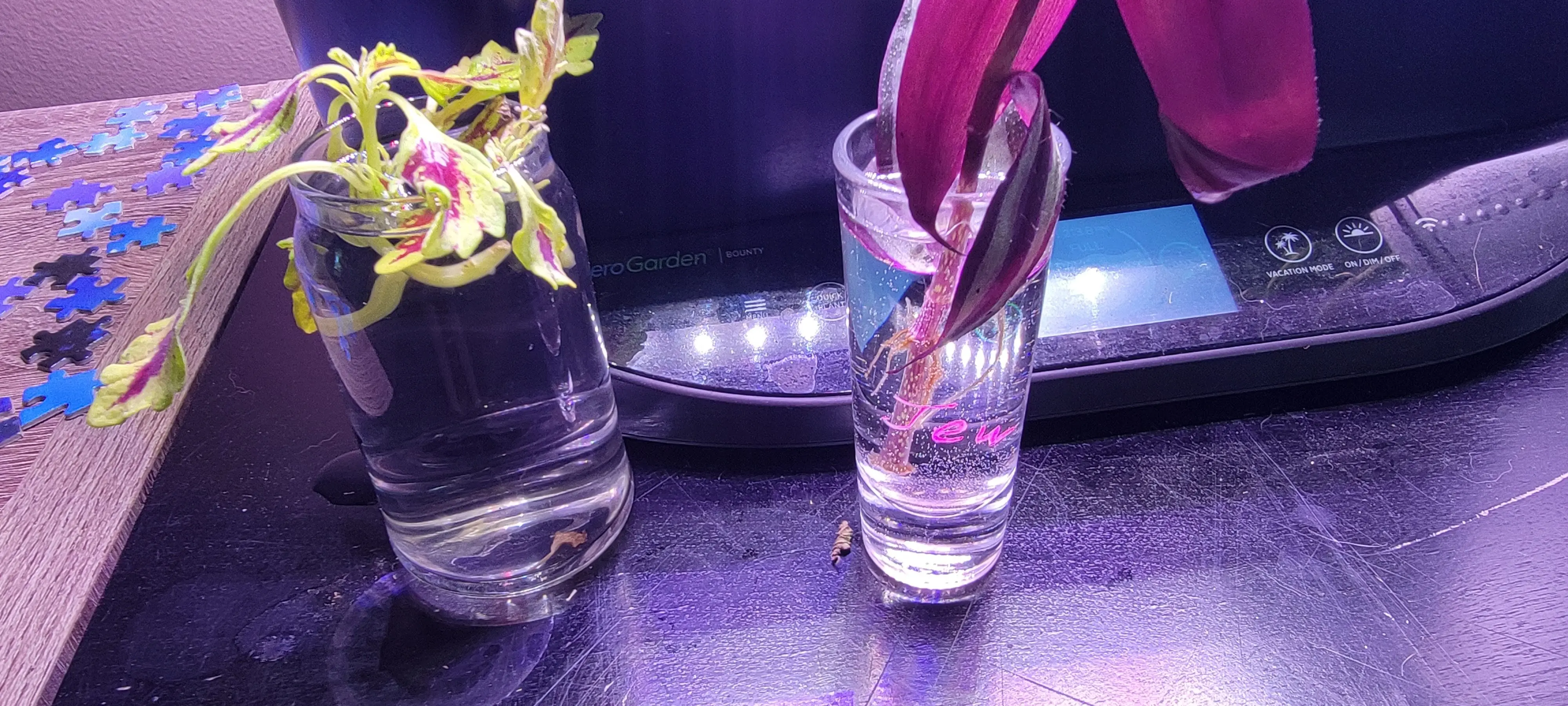 Image Indoor/20220831_124041.webp