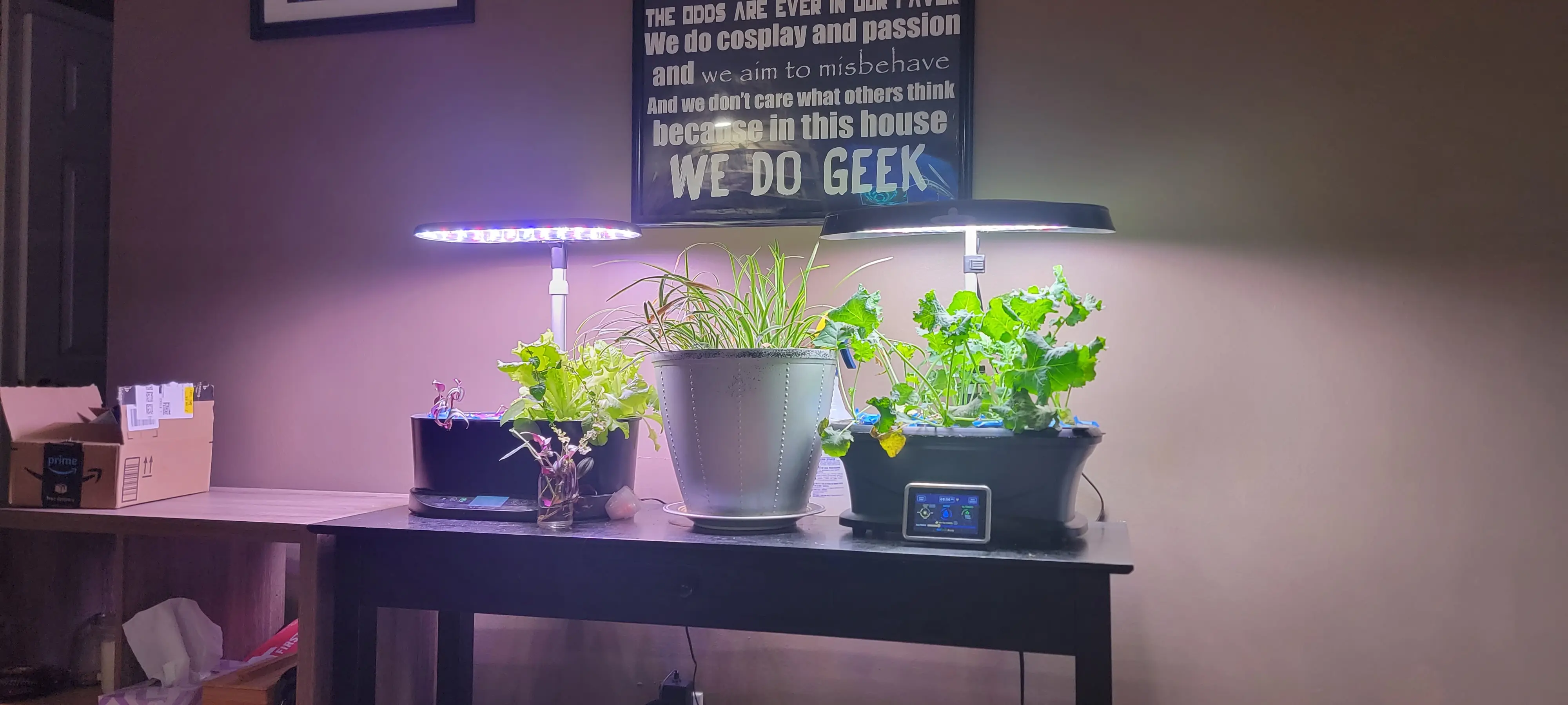 Image Indoor/20221004_085537.webp