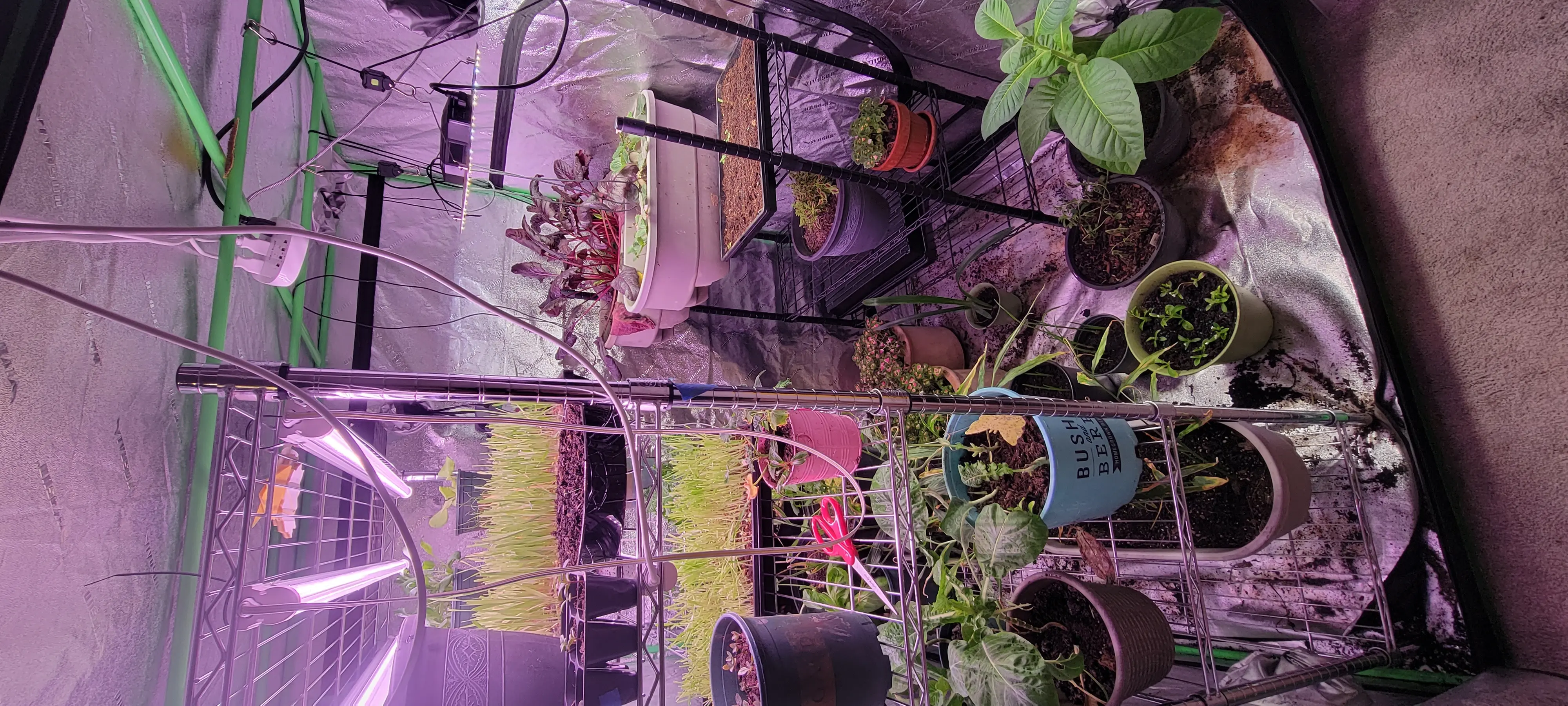 Image Indoor/20221130_140003.webp