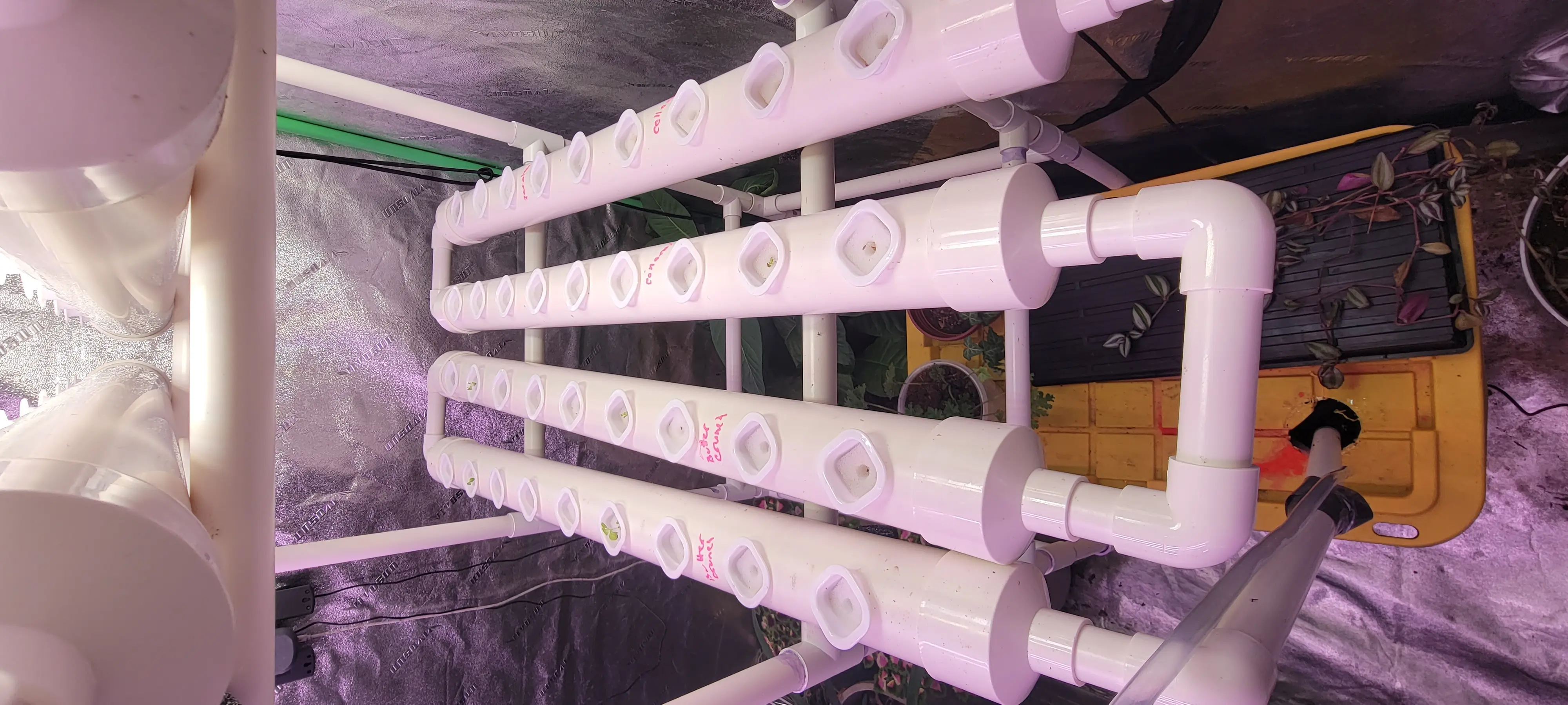 Image Indoor/20230110_075701.webp