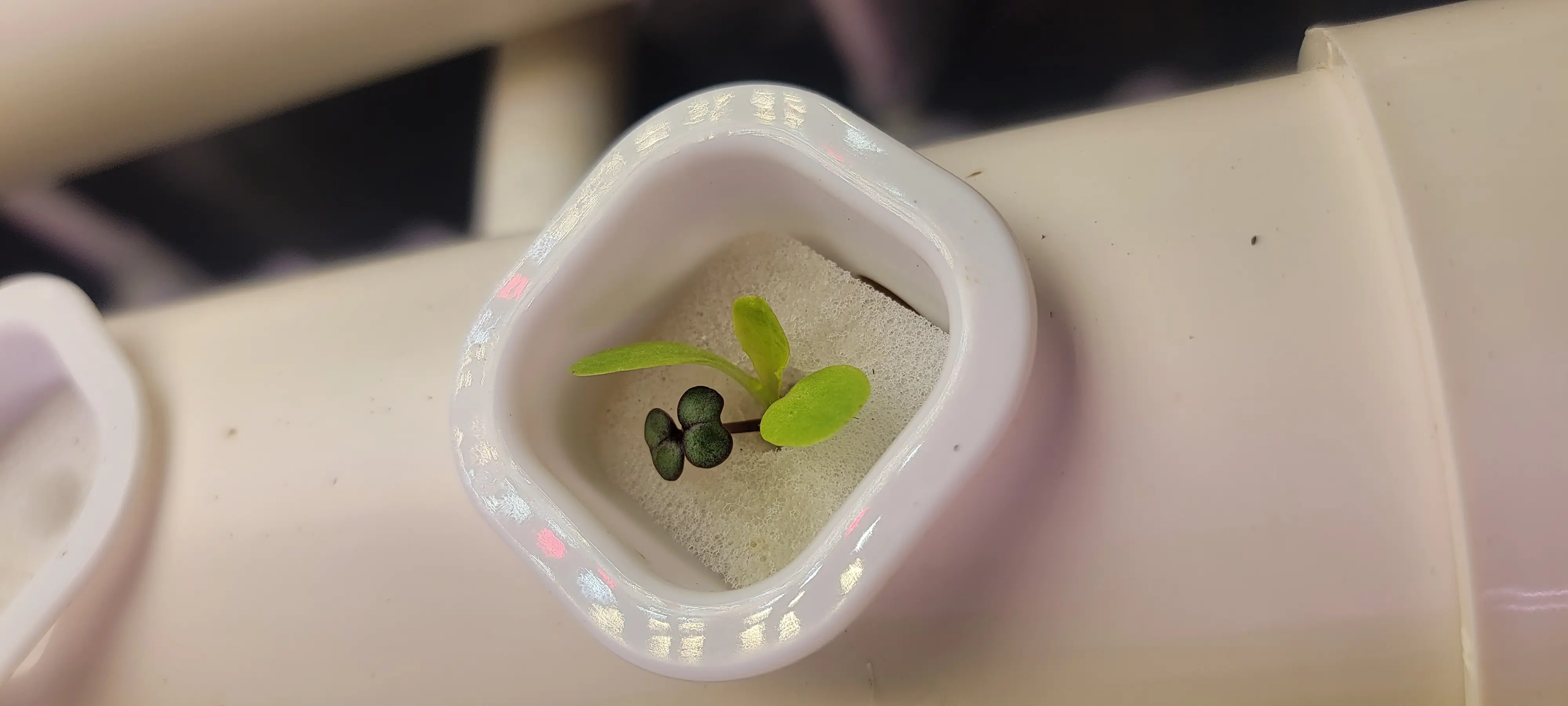 Image Indoor/20230110_075722.webp